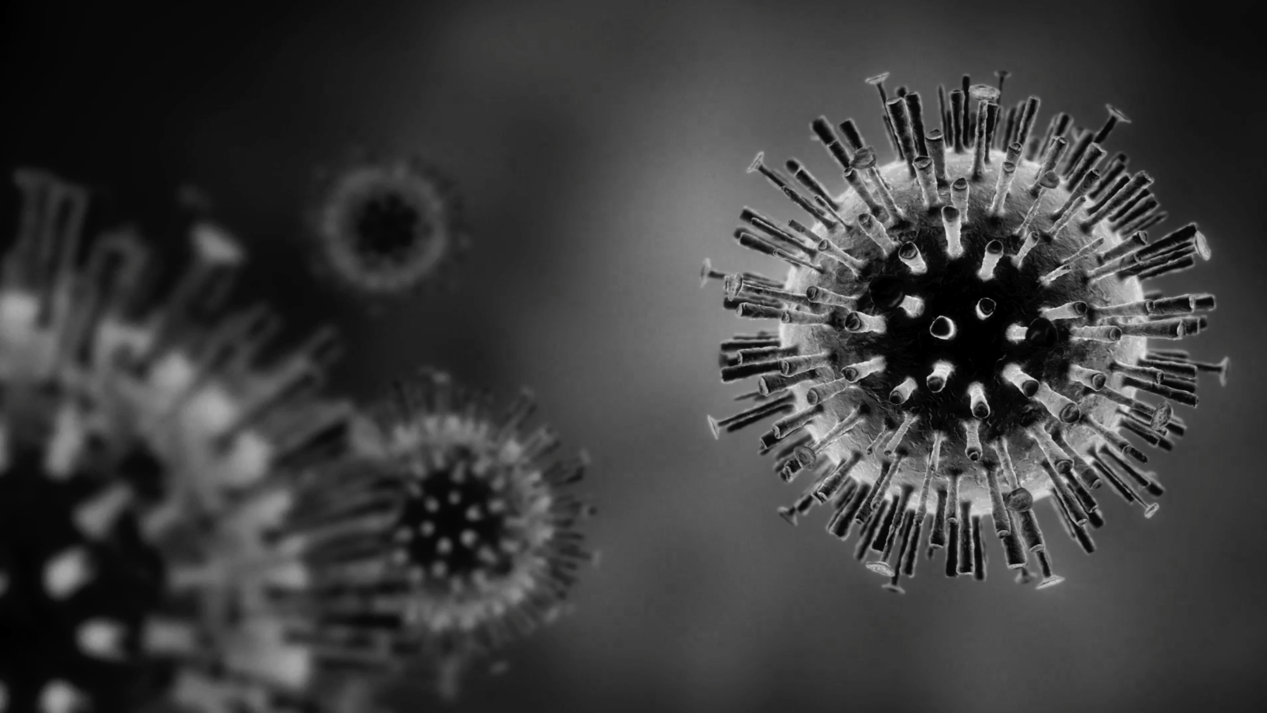 H5 n1. H5 n1. H5n1 2007. Вирус h5n1. Вирус свиного гриппа (h1n1).