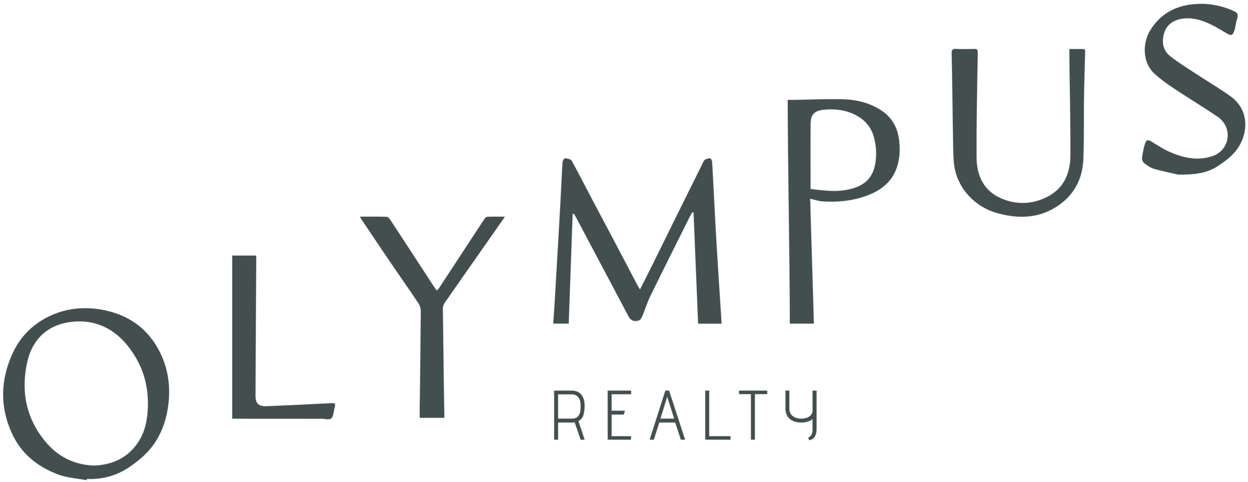 Olympus Realty Real Estate Agency Jersey City, New Jersey