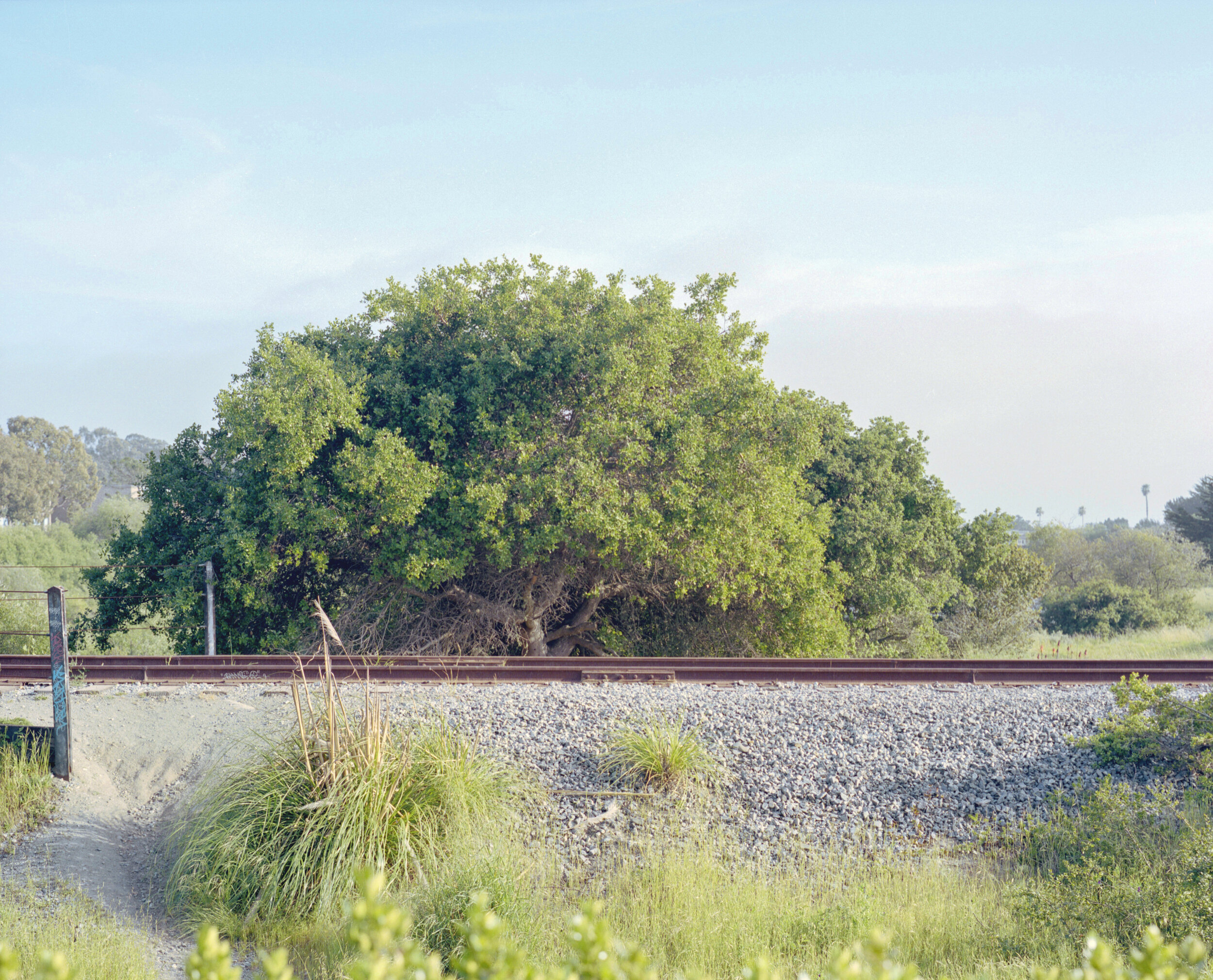  Shaffer Road, Santa Cruz, March 2018 