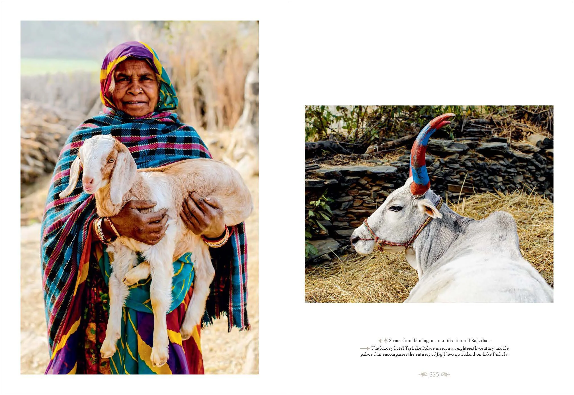 Patterns+of+India+white+copy.jpg