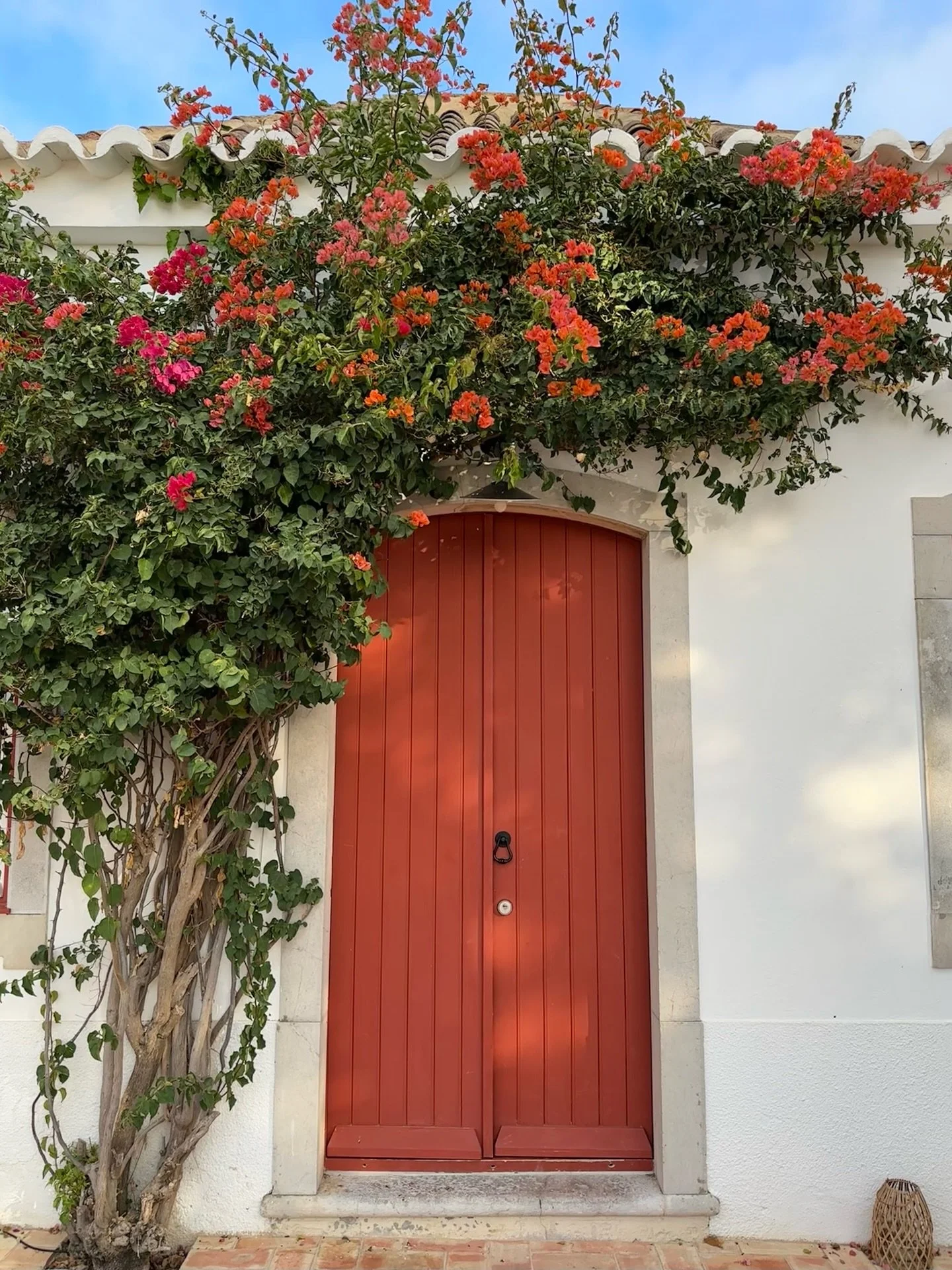 After dropping my group at the Lisbon airport, I grabbed a rental car and headed south to one of my favorite coastal town, Tavira. While so much of the Algarve coast is overrun with crowds and large hotel concepts, @quinta.pinheiro sits within the pr