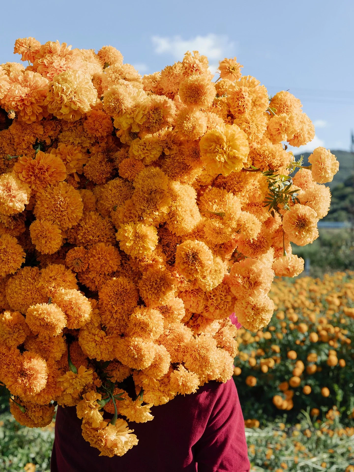 The photos I created for @mexicoinmypocket new book Mexico&rsquo;s Day of the Dead are among my most treasured works. The colors, textures, abundance, and joy reminded me so much of India, my other favorite place to visit. Every image feels alive, le