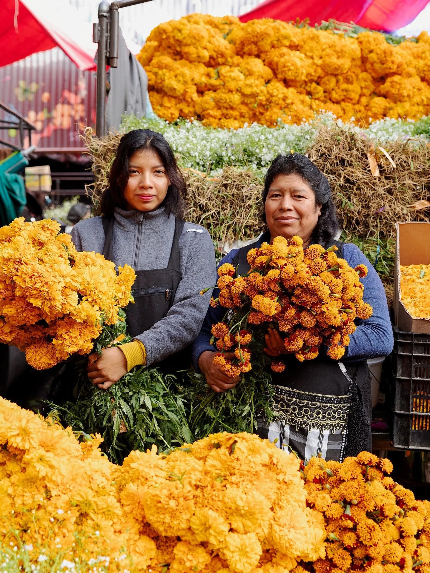 Portraits at Mercado de Jamaica, the most incredible, vibrant, abundant flower market in Mexico City. I think I could have done an entire book about this market alone 😂. For the history and stories behind these particular blooms and why they&rsquo;r