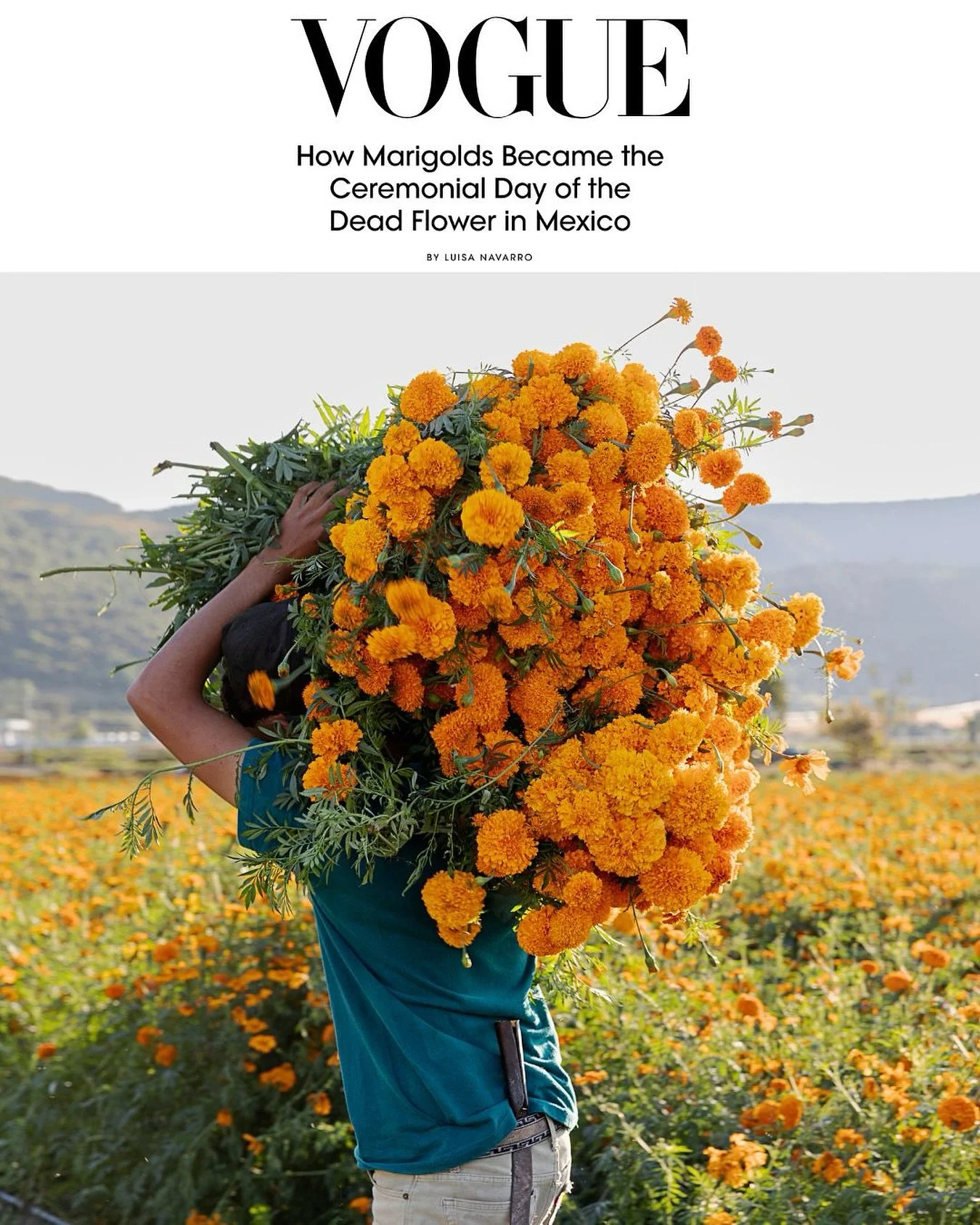 Thrilled to share a collaboration @luisafnavarro @mexicoinmypocket and I did for Vogue, through her research and storytelling, and my photography. The cempas&uacute;chil, or marigold, is recognized as the ceremonial Day of the Dead flower used to gui