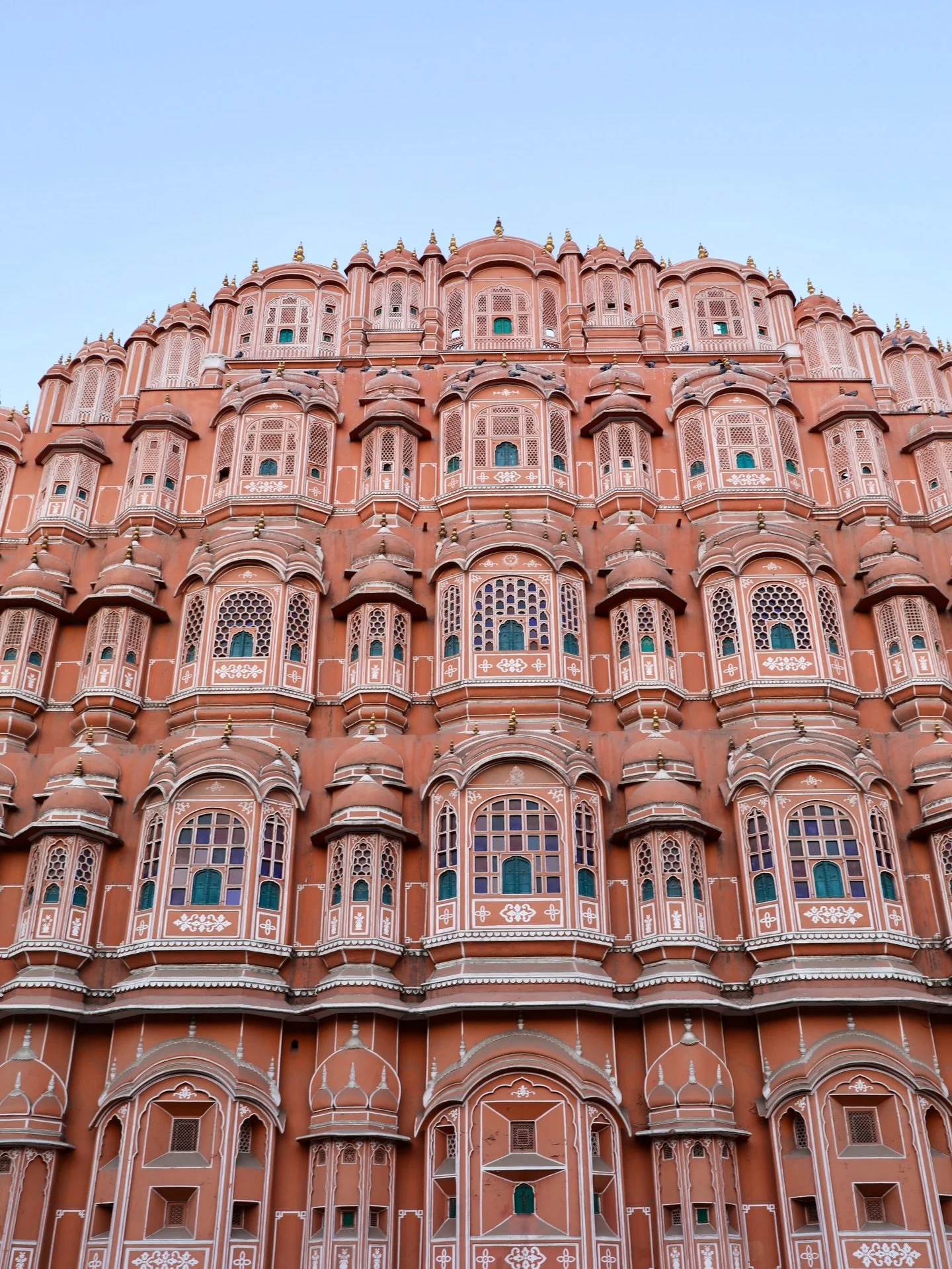 The most beautiful, challenging, chock full day in Jaipur. We started the day trying to see the flower market, but our uber dropped us somewhere else entirely. So we walked through the old city, dodging traffic, cows and crowds, until we made our way