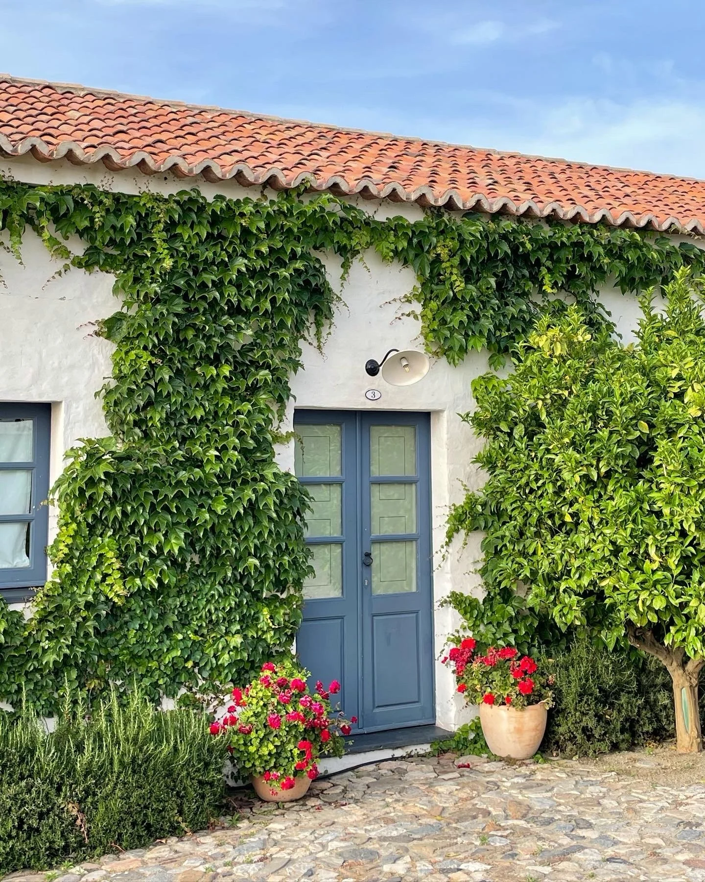 The countdown is ON! Tomorrow at 11am ET registration opens for our Fall 2027 trips to Portugal and Puglia. I couldn&rsquo;t be more excited. There is still time to be added to the first-to-know list, so shoot me a DM with your email if you don&rsquo