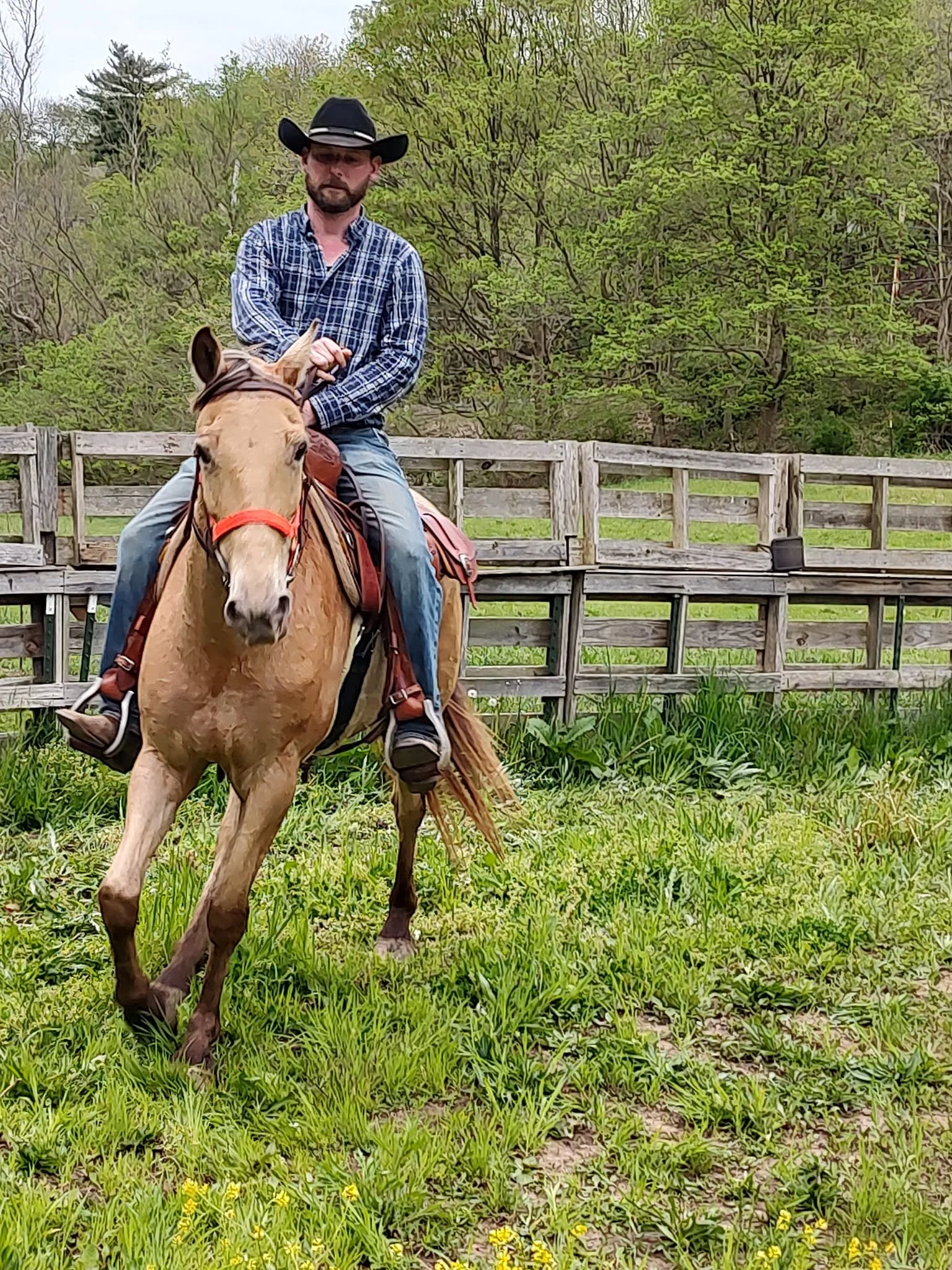 About Us — Havens Hideout Ranch