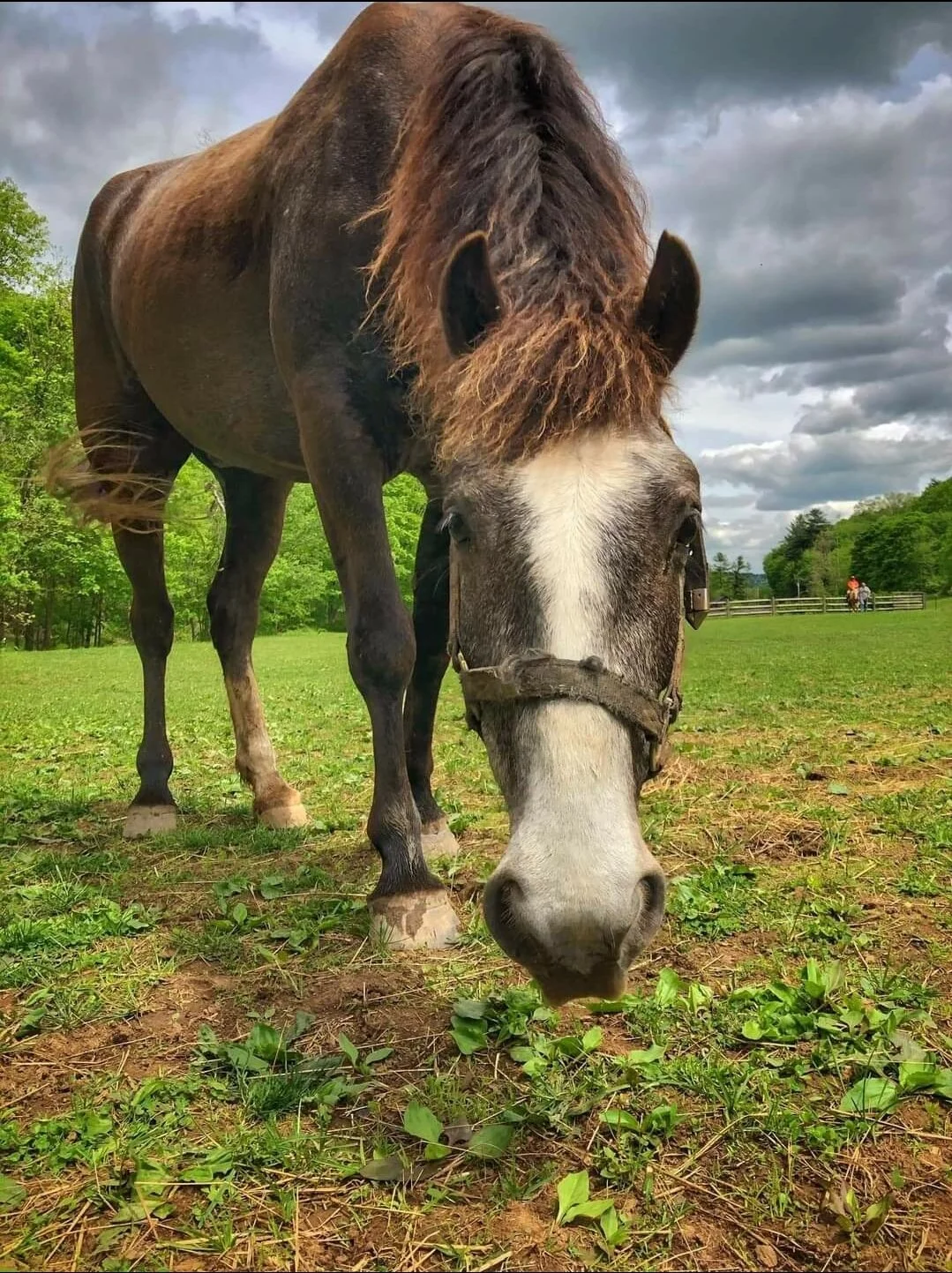 About Us — Havens Hideout Ranch