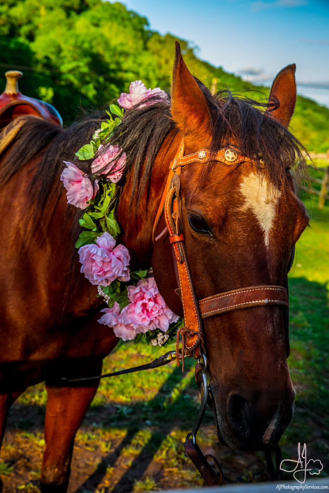 About Us — Havens Hideout Ranch