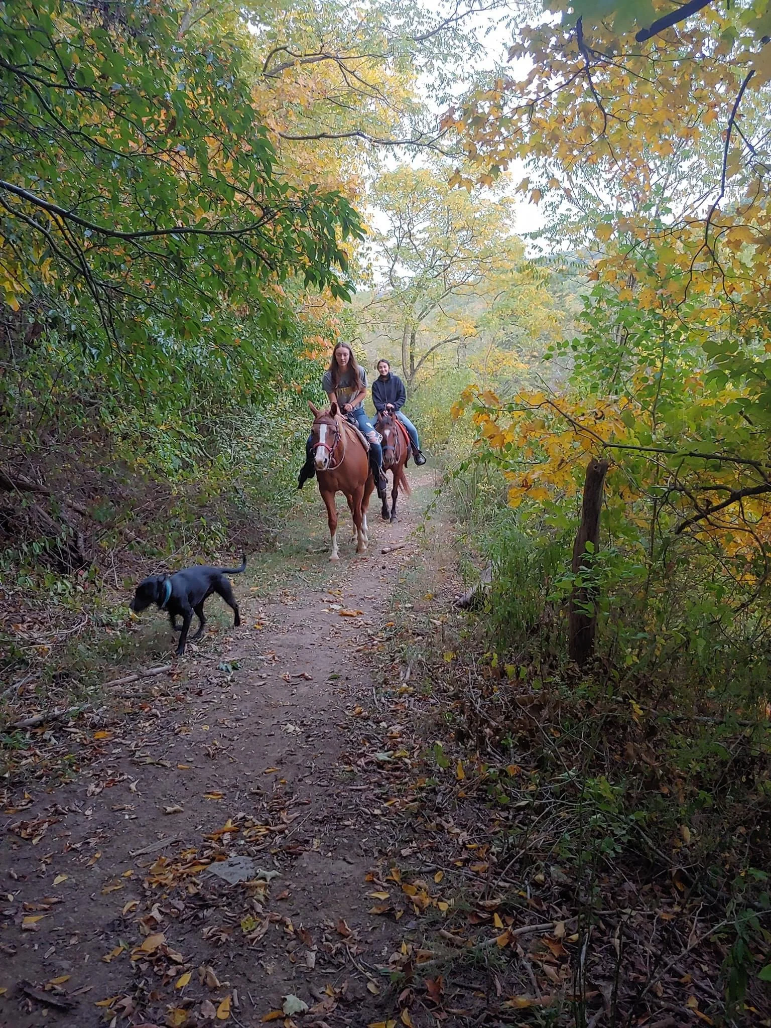 Went for a 1 hour ride. Was great! Max was very cute as well. Would highly recommend. -C.S.