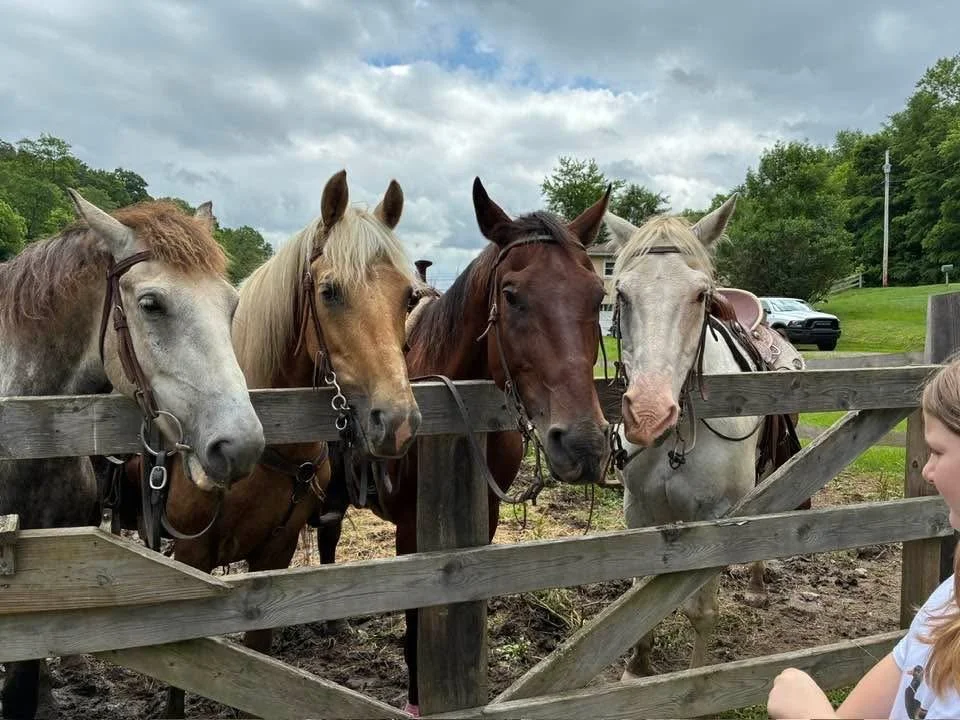 Doug and the Team at Havens Hideout are amazing. My wife and I did the romantic dinner ride and it far exceeded our expectations. We will be back to do the hourly rides in the near future. Also the catering by Project Four Twelve was top notch!! -P.M