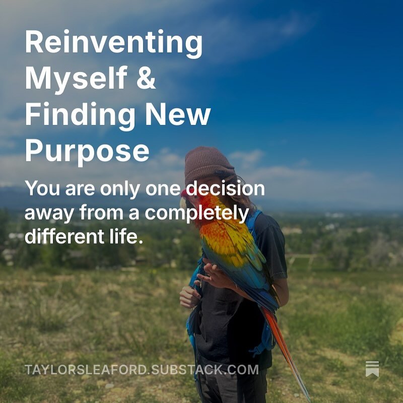 I ran into a Parrot 🦜 on a trail in Boulder, CO and it taught me so much about reinventing myself and uncovering my next purpose. 

Full article on Substack:
TaylorSleaford.substack.com