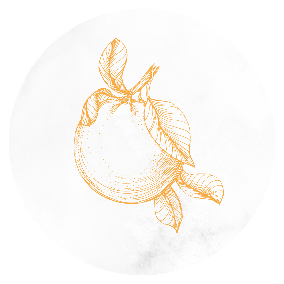 graph of an orange instagram story highlight cover designer for service-based business art de cuisine in portland oregon
