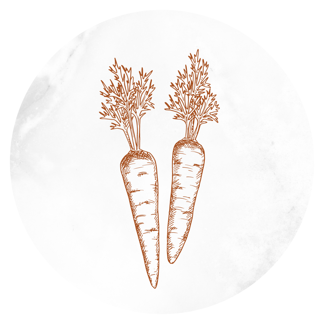 graphic of carrots for an instagram story highlight cover designer for service-based business art de cuisine in portland oregon