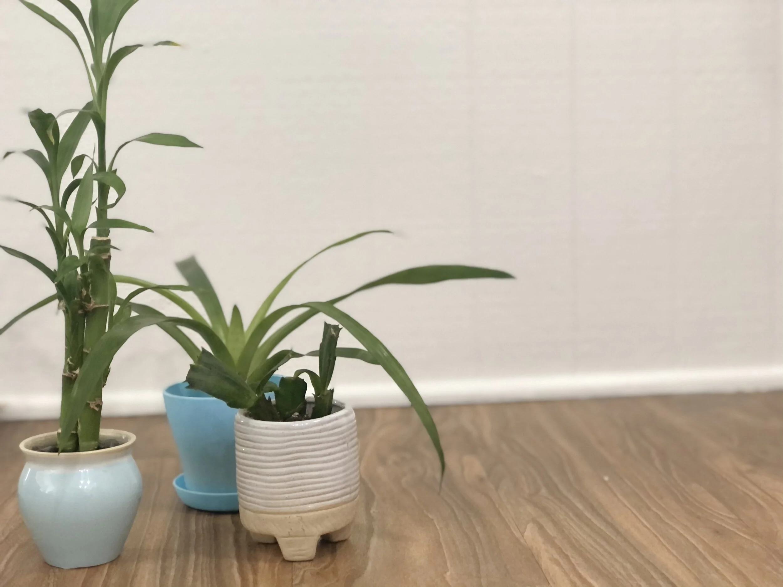 let’s call out: HEALING