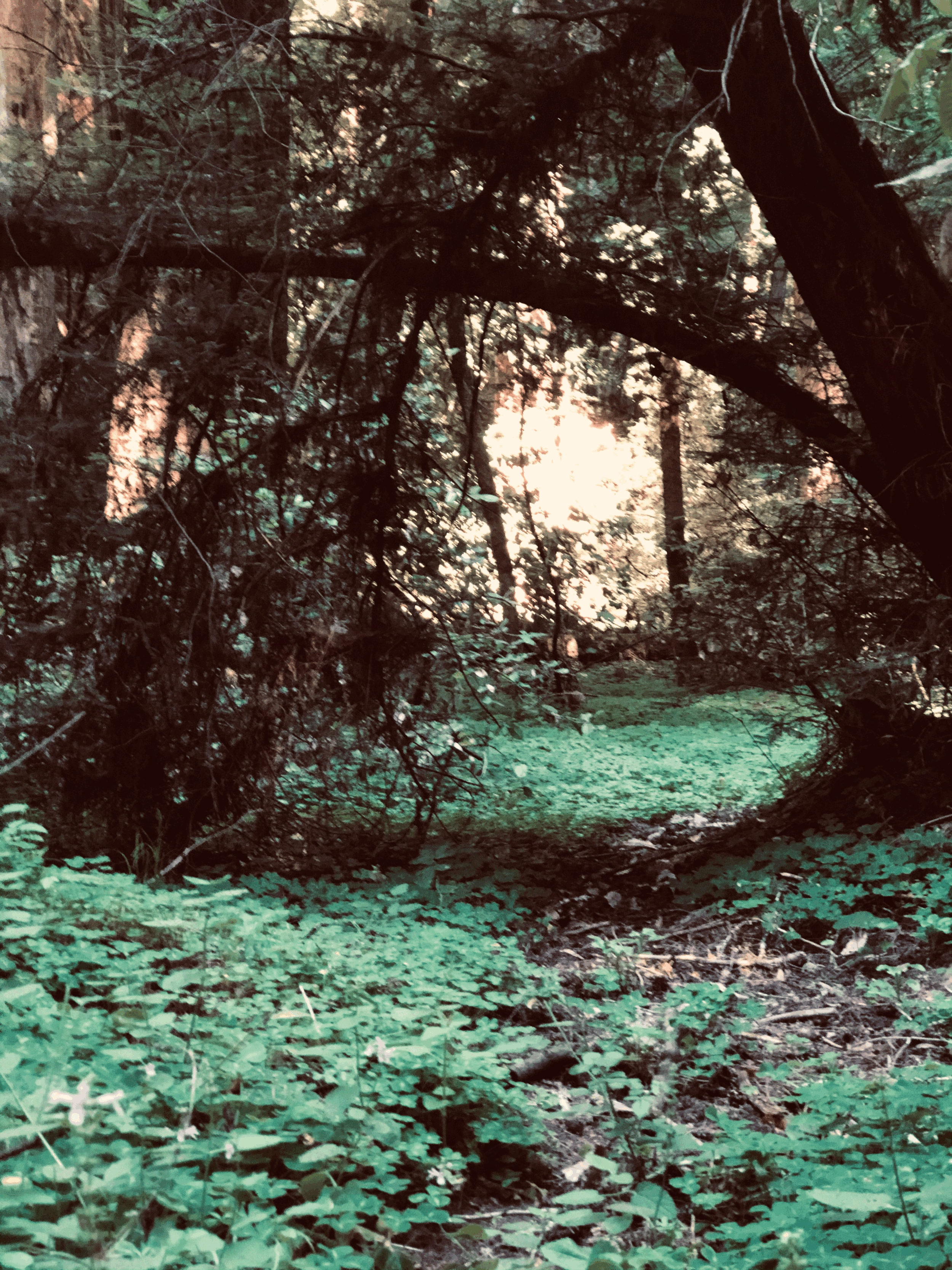 let’s call out: FEAR