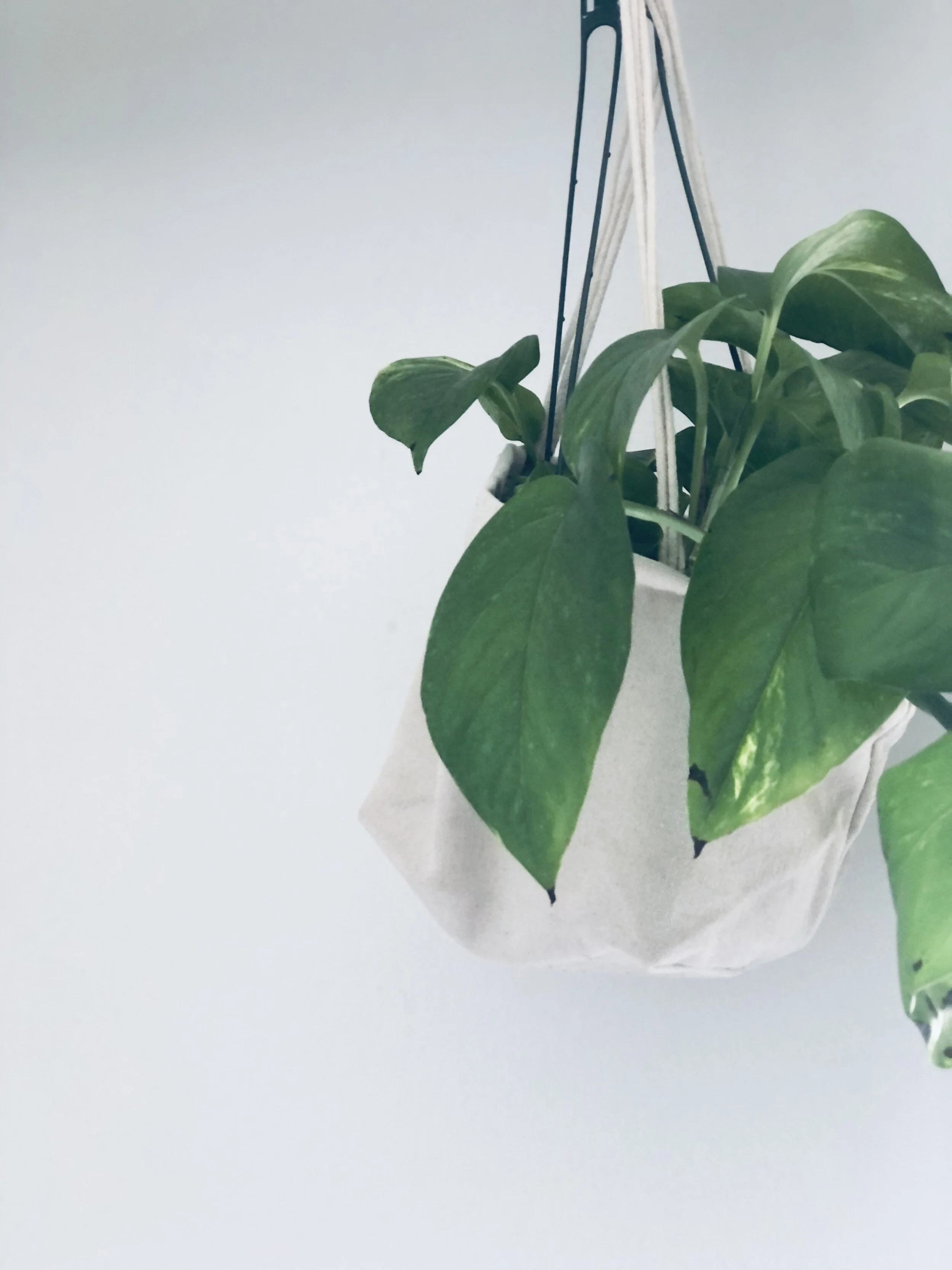 let’s call out: LETTING GO