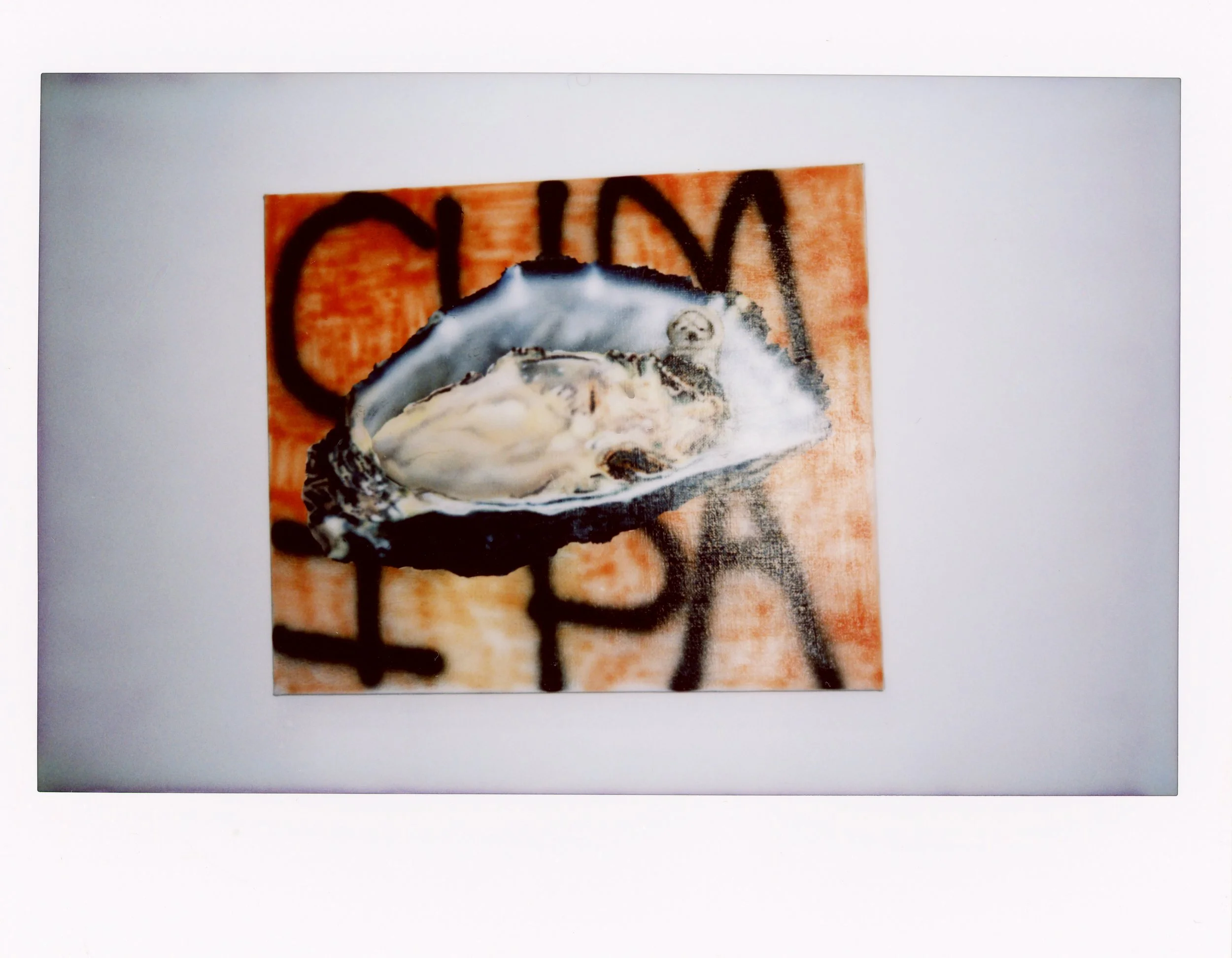 whaam-polaroid-15.jpg