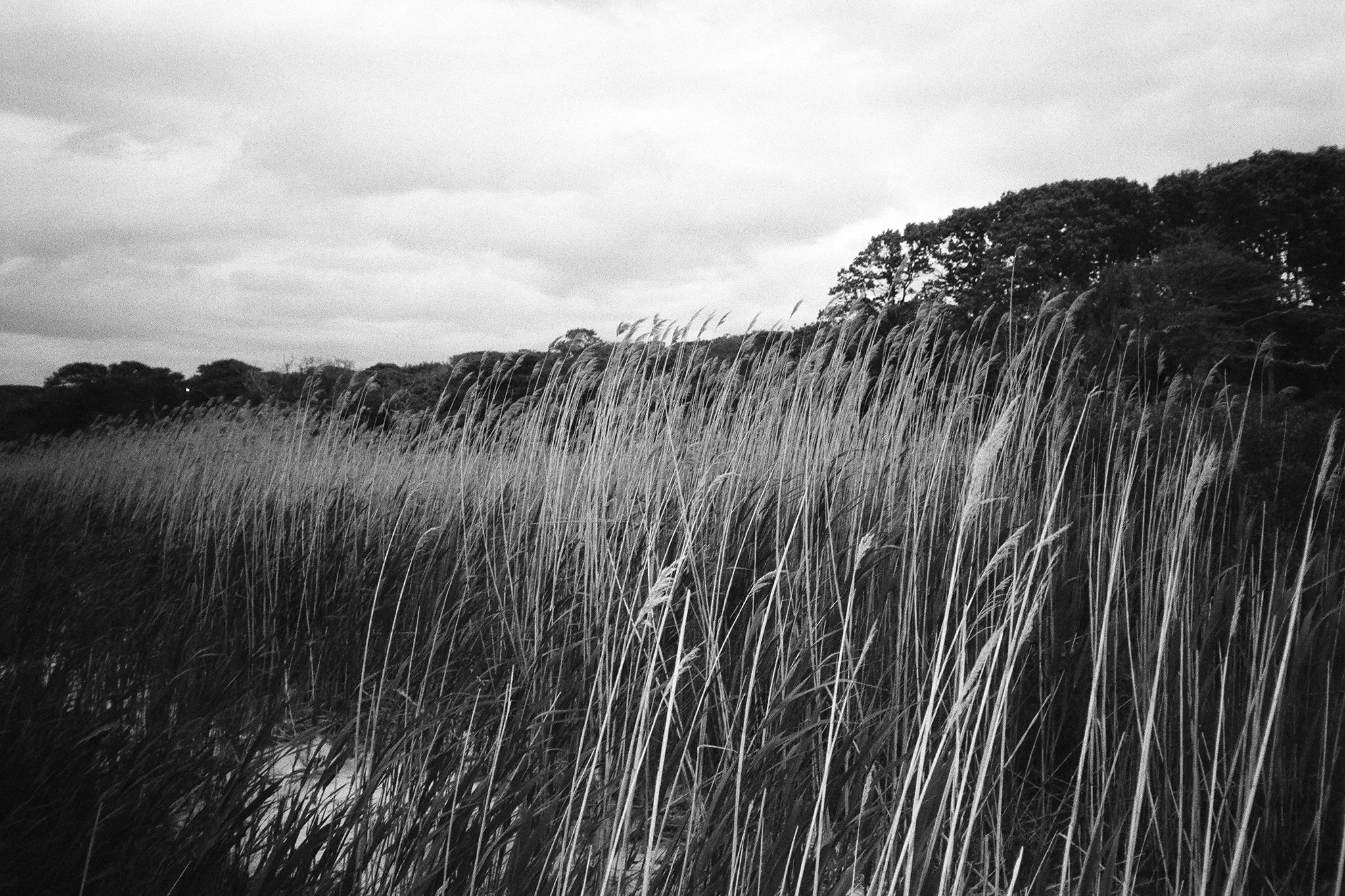 june-bw-103.jpg