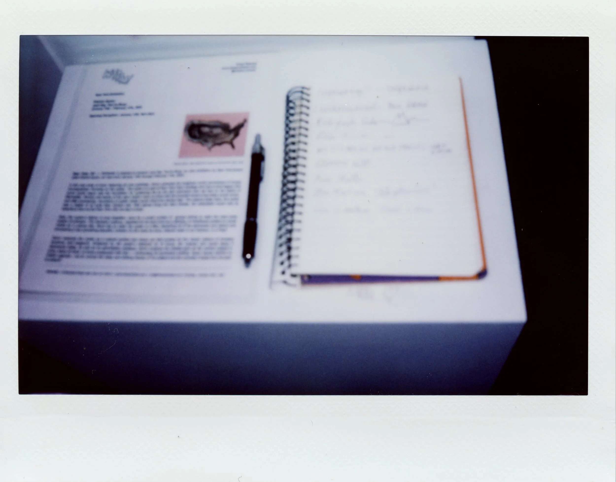 whaam-polaroid-8.jpg