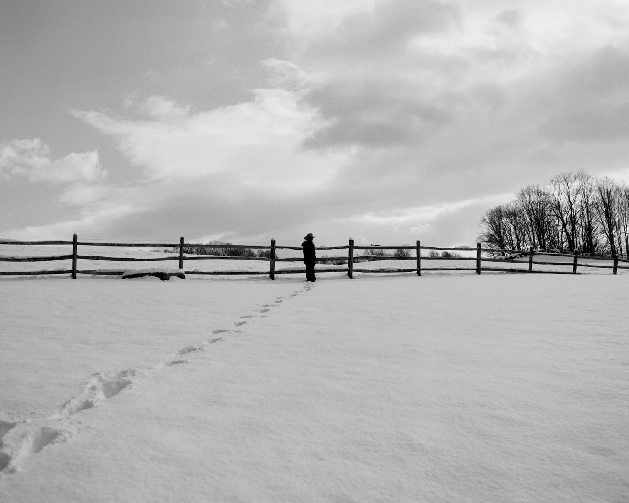 fd-upstate-26.jpg