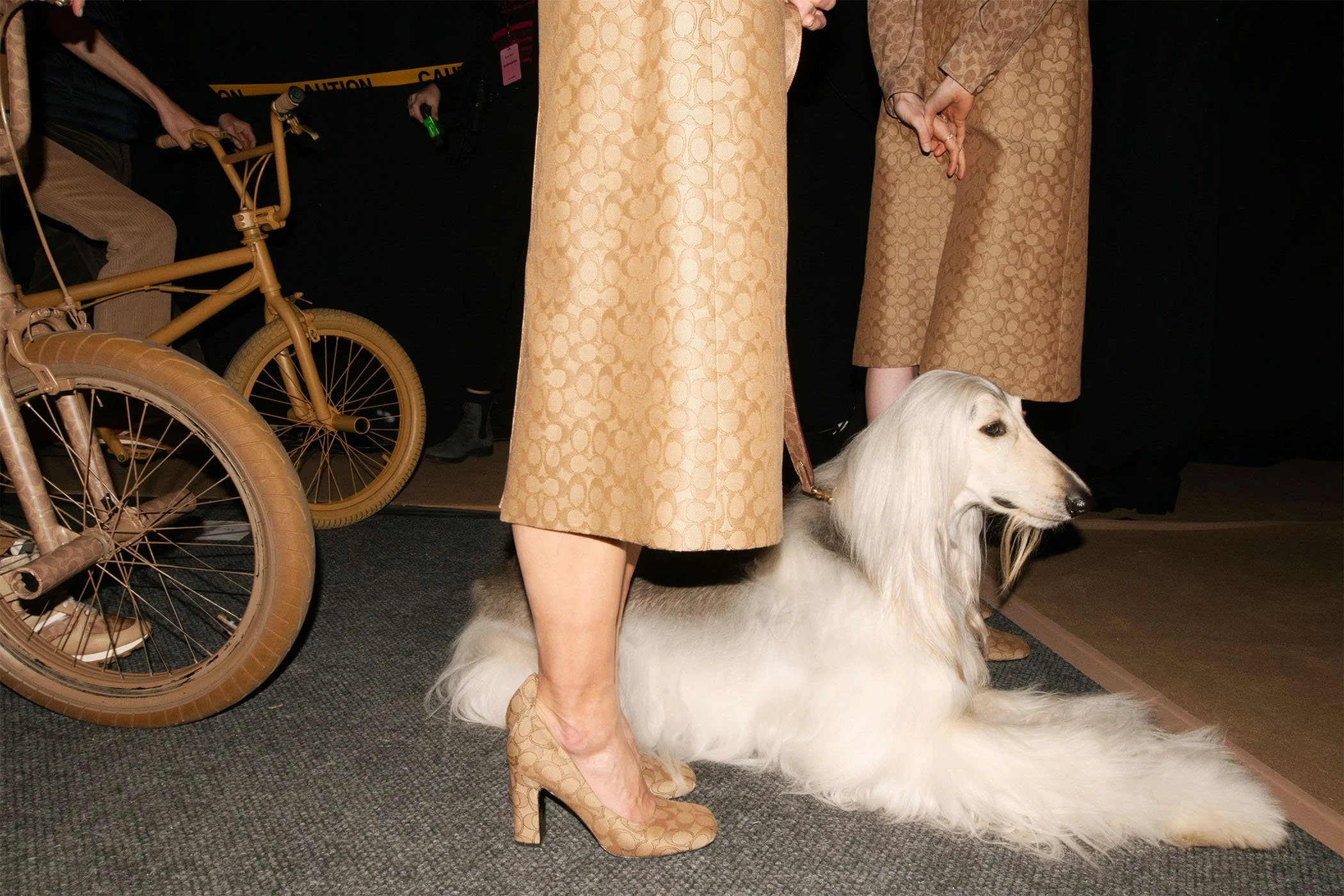 Purple Fashion Magazine / Coach FW22