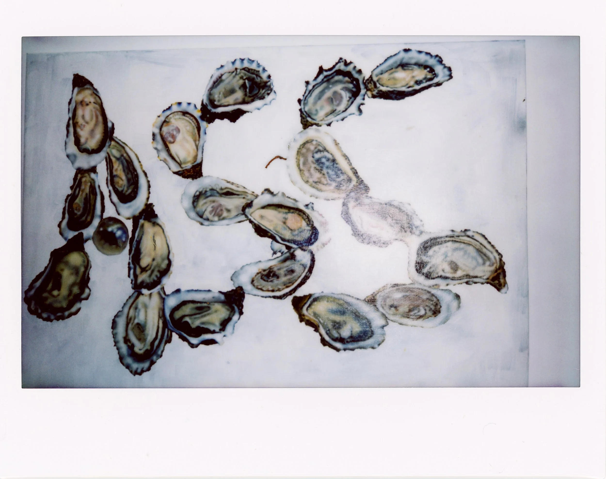whaam-polaroid-9.jpg