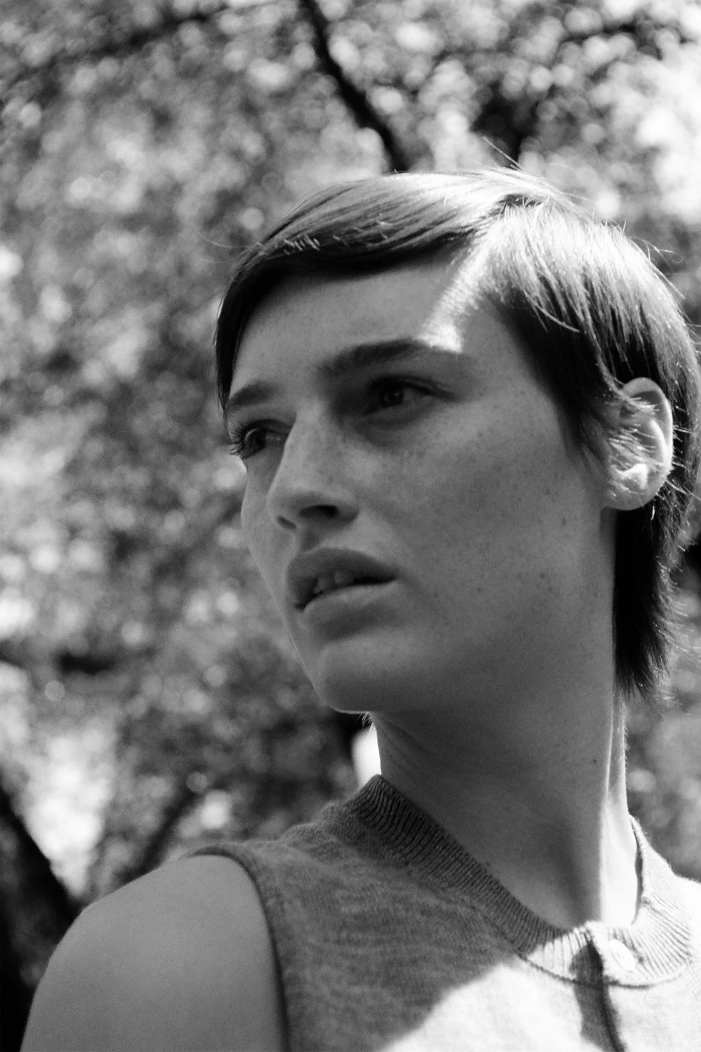 zelda-bw-64.jpg