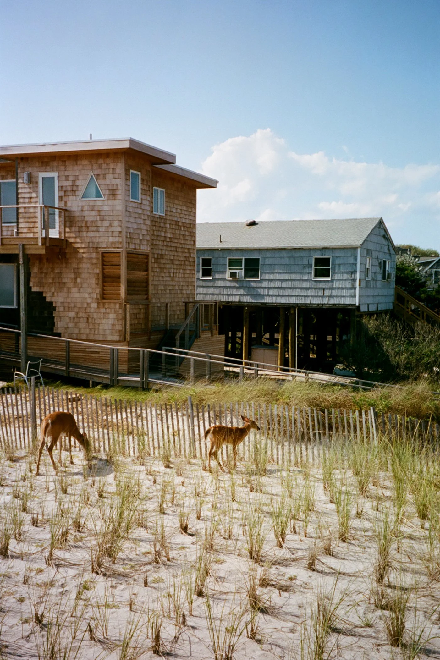 fireisland-film-13.jpg