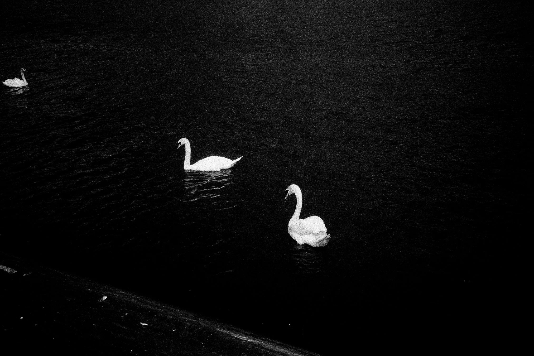 paris-bw-29.jpg