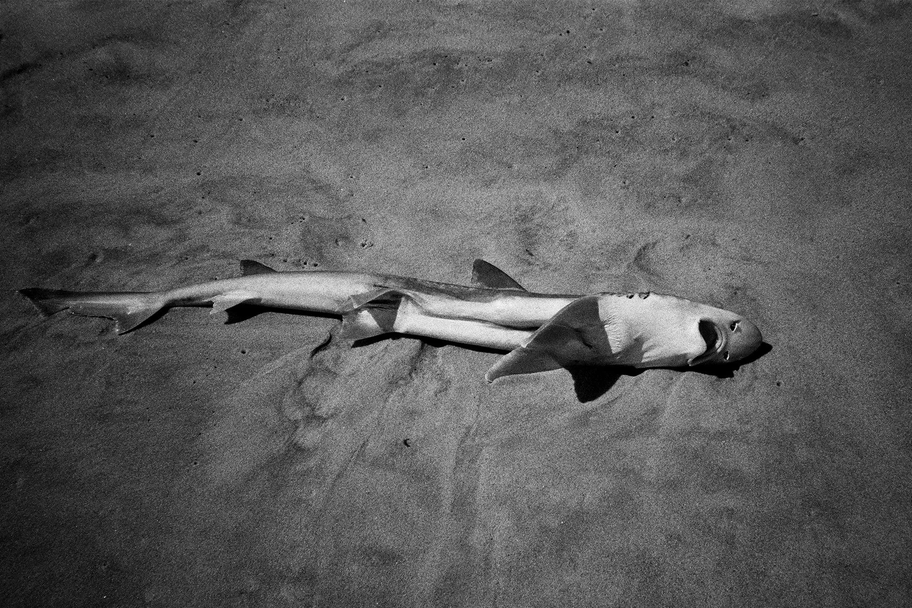 june-bw-106.jpg