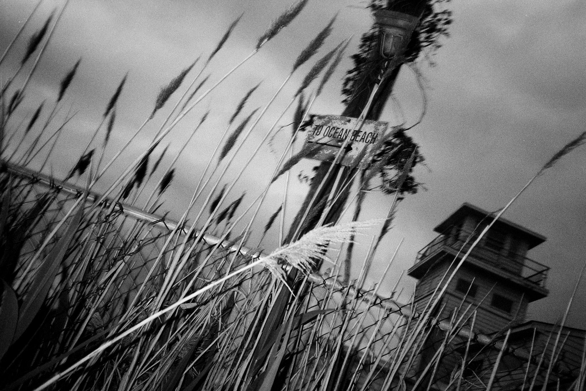 june-bw-115.jpg