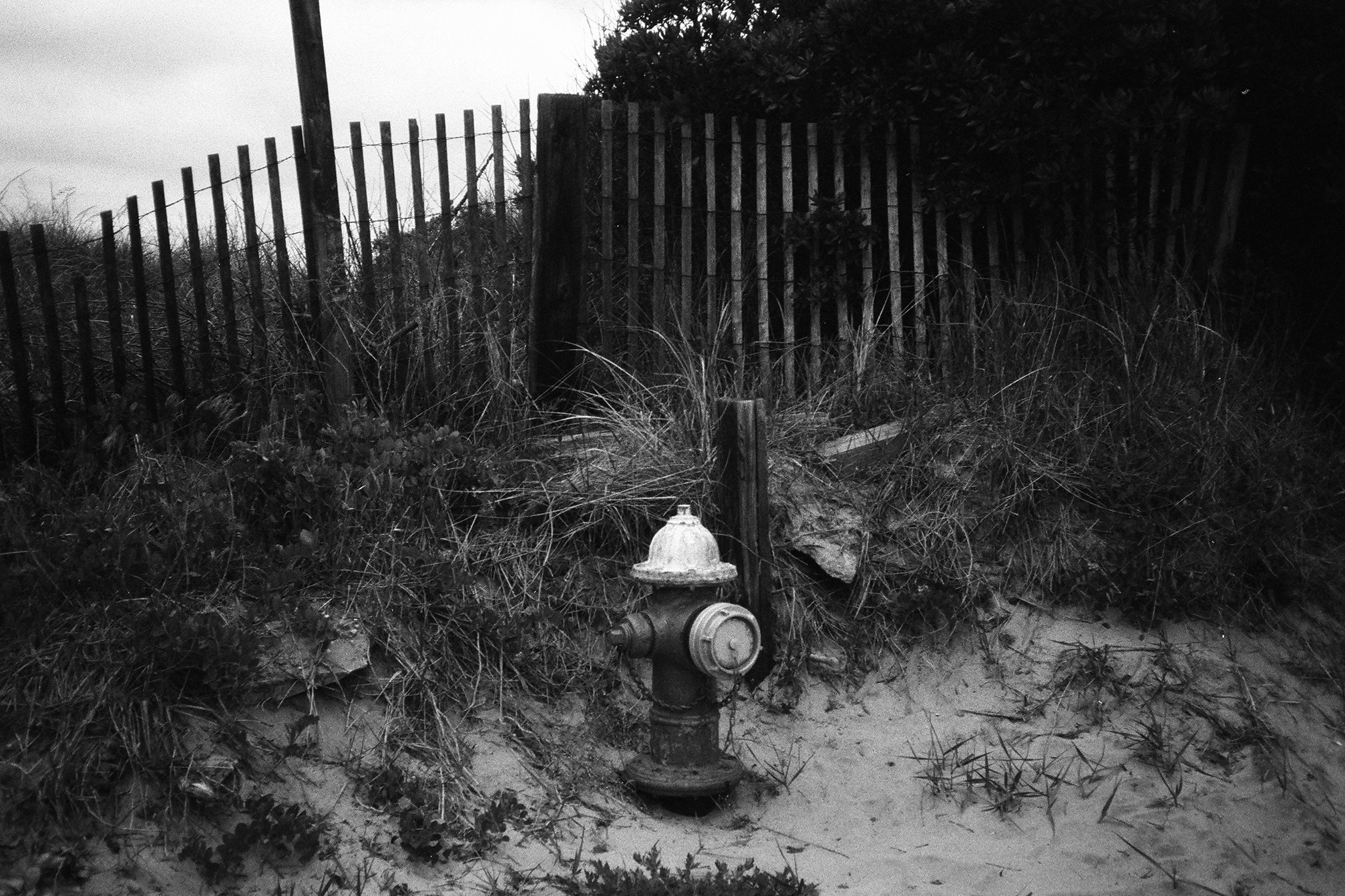 june-bw-68.jpg