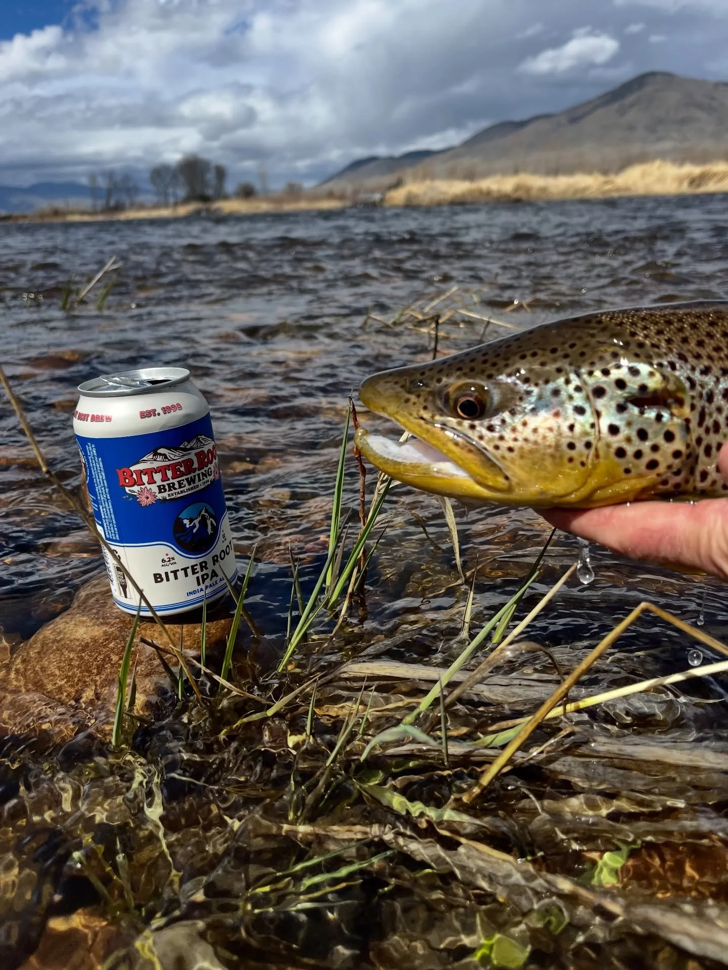 Showing the fish the beer you were drinking while contemplating what fly he was gonna eat.
.
.
.
#browntown #hamtownsfinest #brandambassador #getdownanddirty