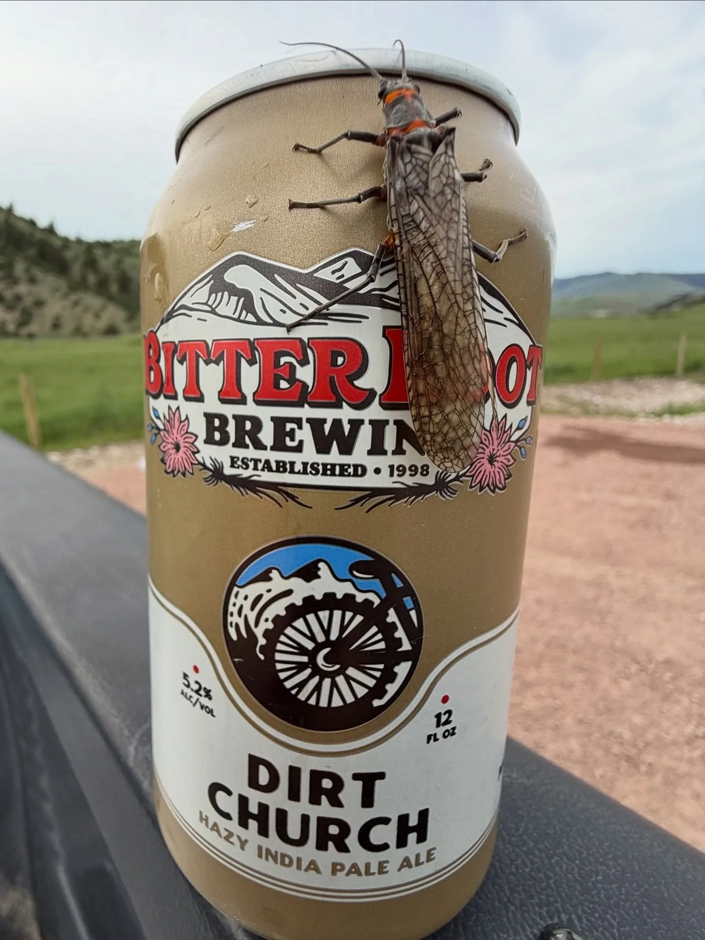 Sometimes you gotta get down and dirty. 
.
.
.
#dirtchurch #salmonfly #finallypoppingoff #pburgmt