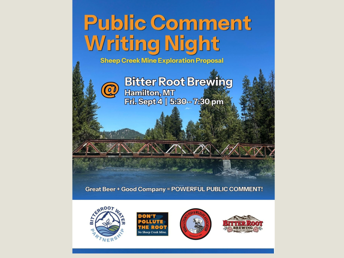 Public Comment Writing Night with The Water Partnership