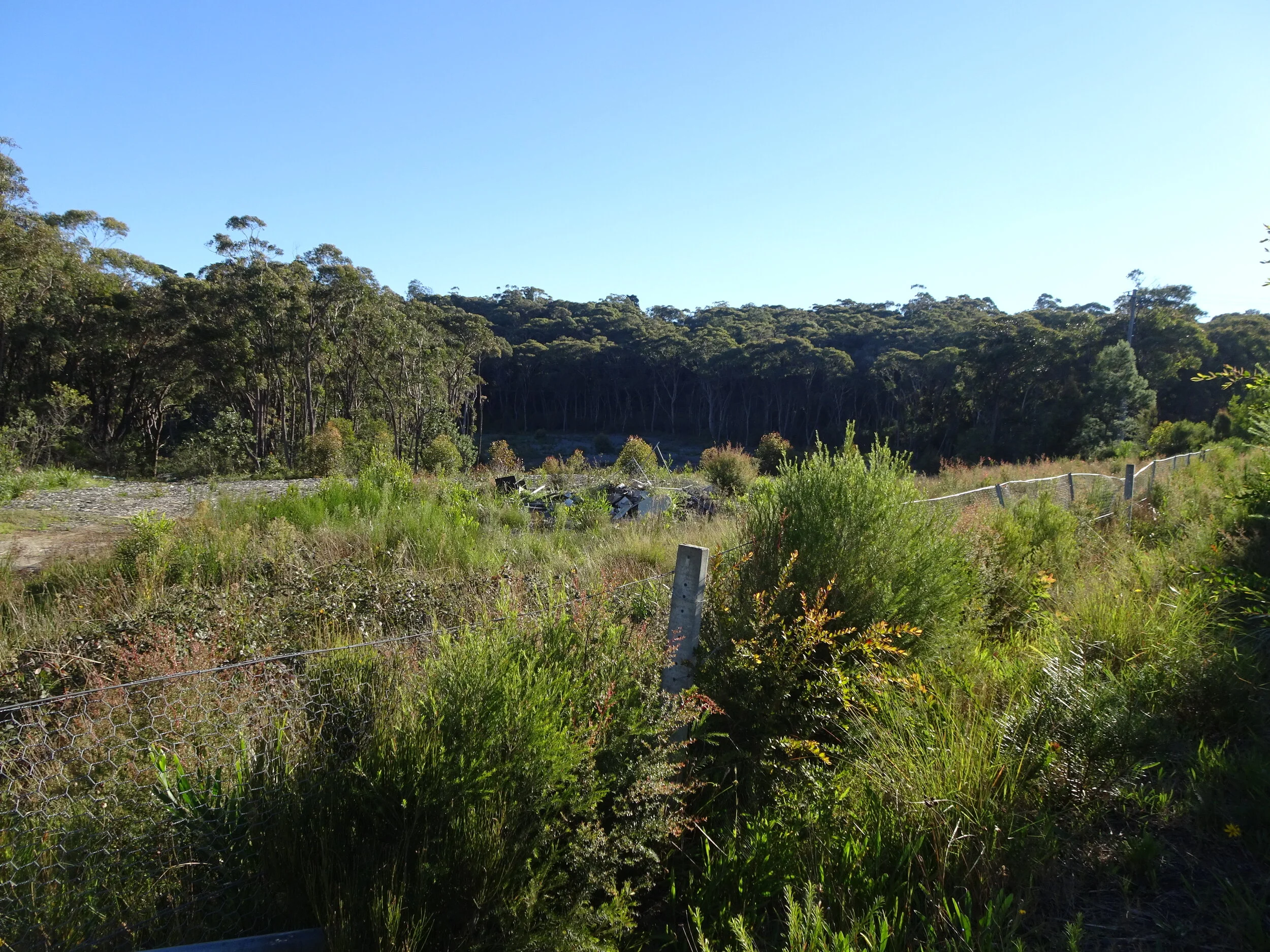 Blue Mountains zoo plans cause community concern 