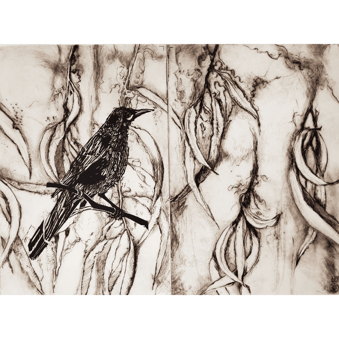 Jo Hollier, Artist and Printmaker