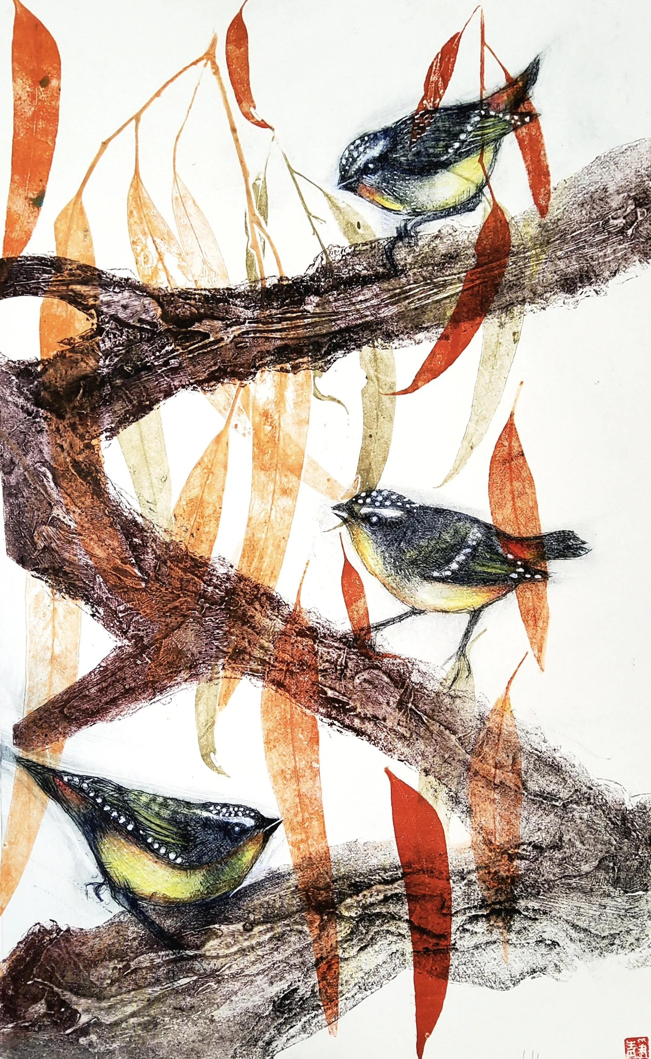 20. Spotted Pardelotes | 550mm x 420mm