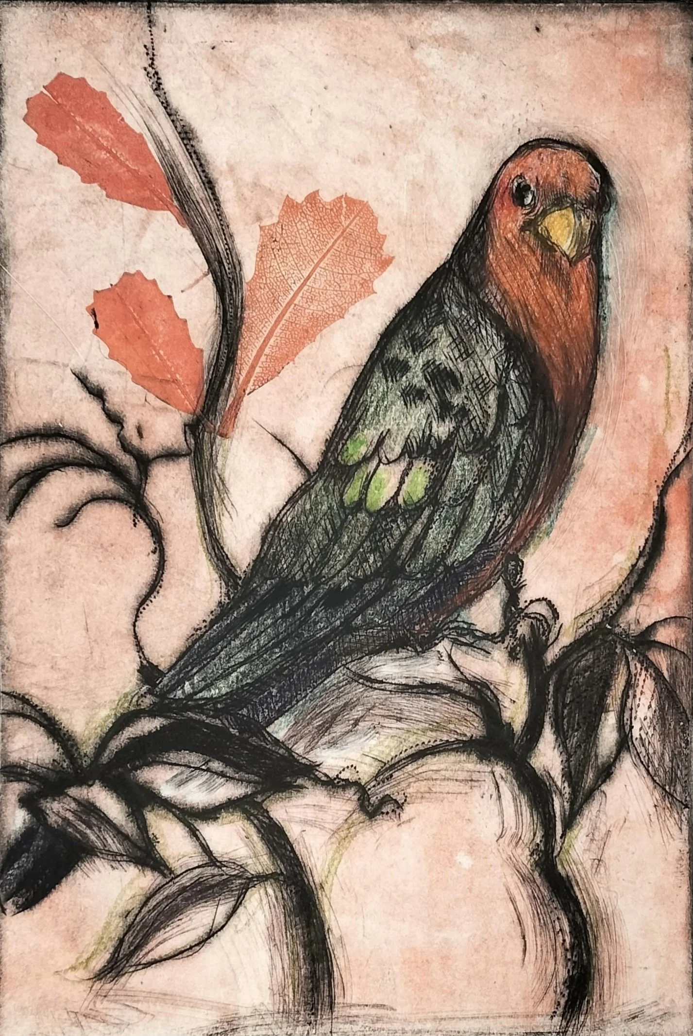 24. King Parrot | 450mm x 320mm