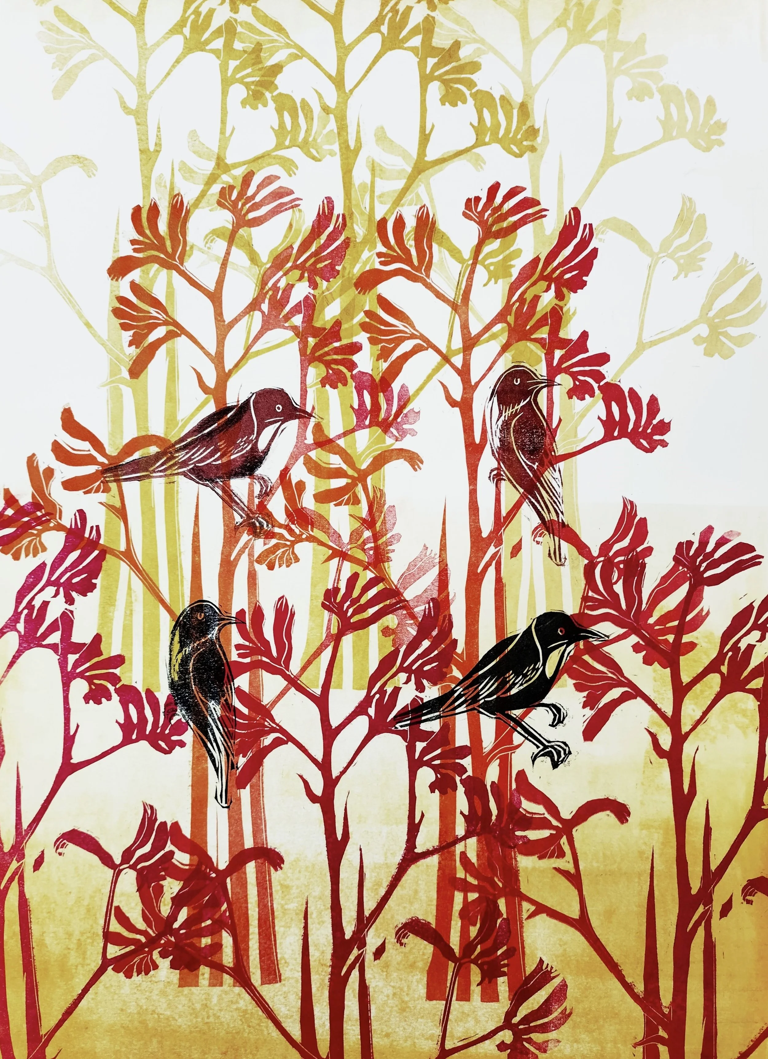 28. Concourse Kangaroo Paw | 560mm x 390mm