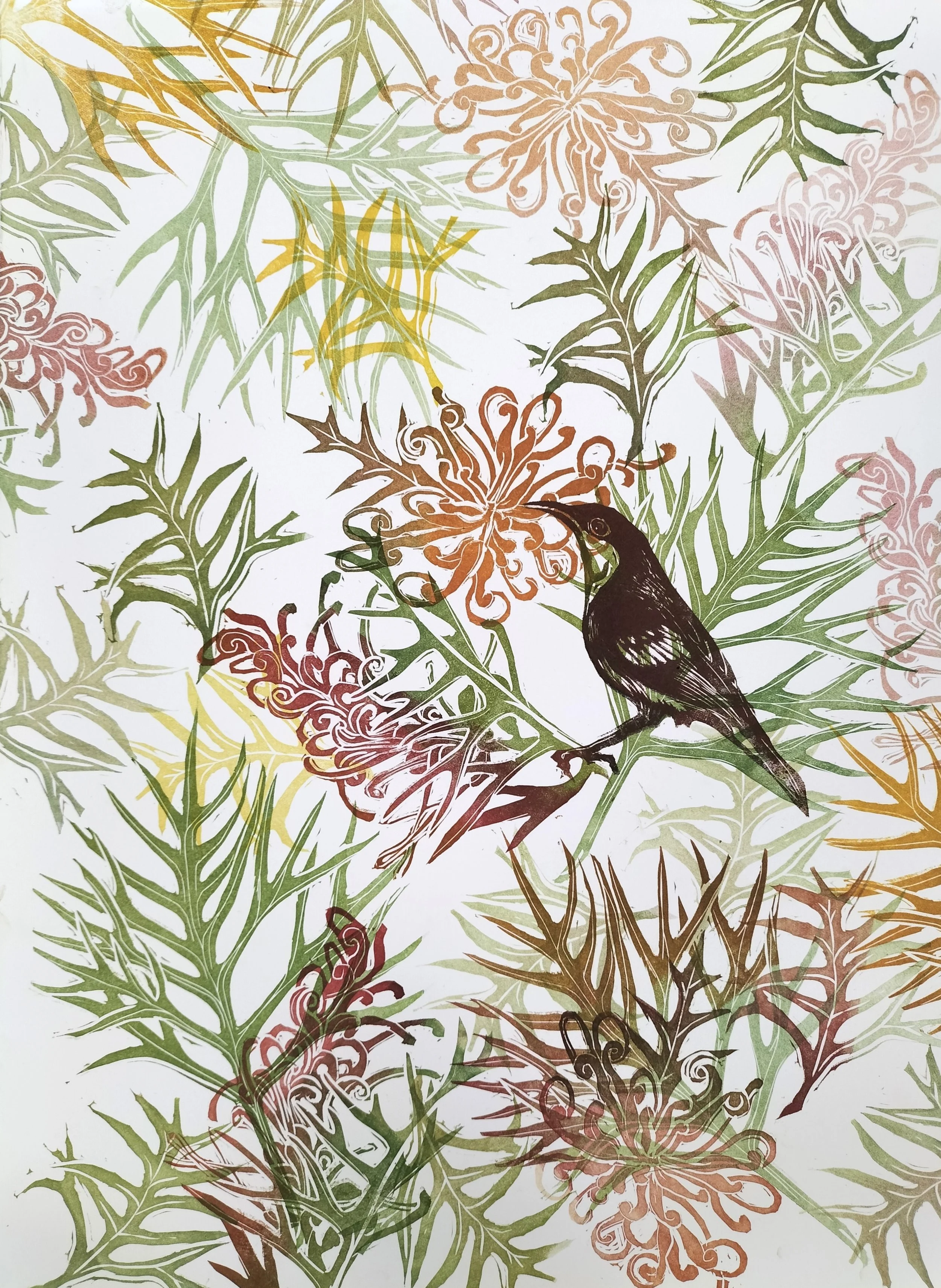 25. Concourse Grevillea | 560mm x 390mm