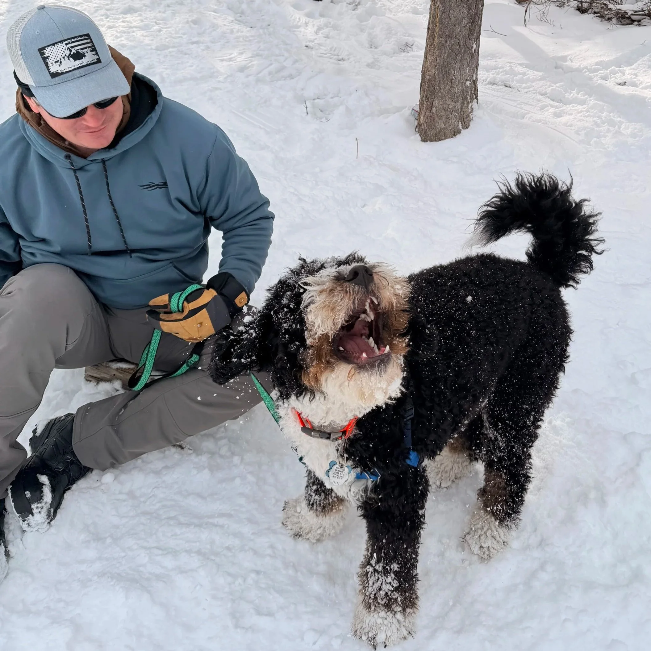 A person wearing a gray jacket, black gloves, a gray baseball cap, and sunglasses is kneeling in the snow and holding a black and white dog with curly fur and a red harness. The scene is outdoors in a snowy landscape with a tree in the background.