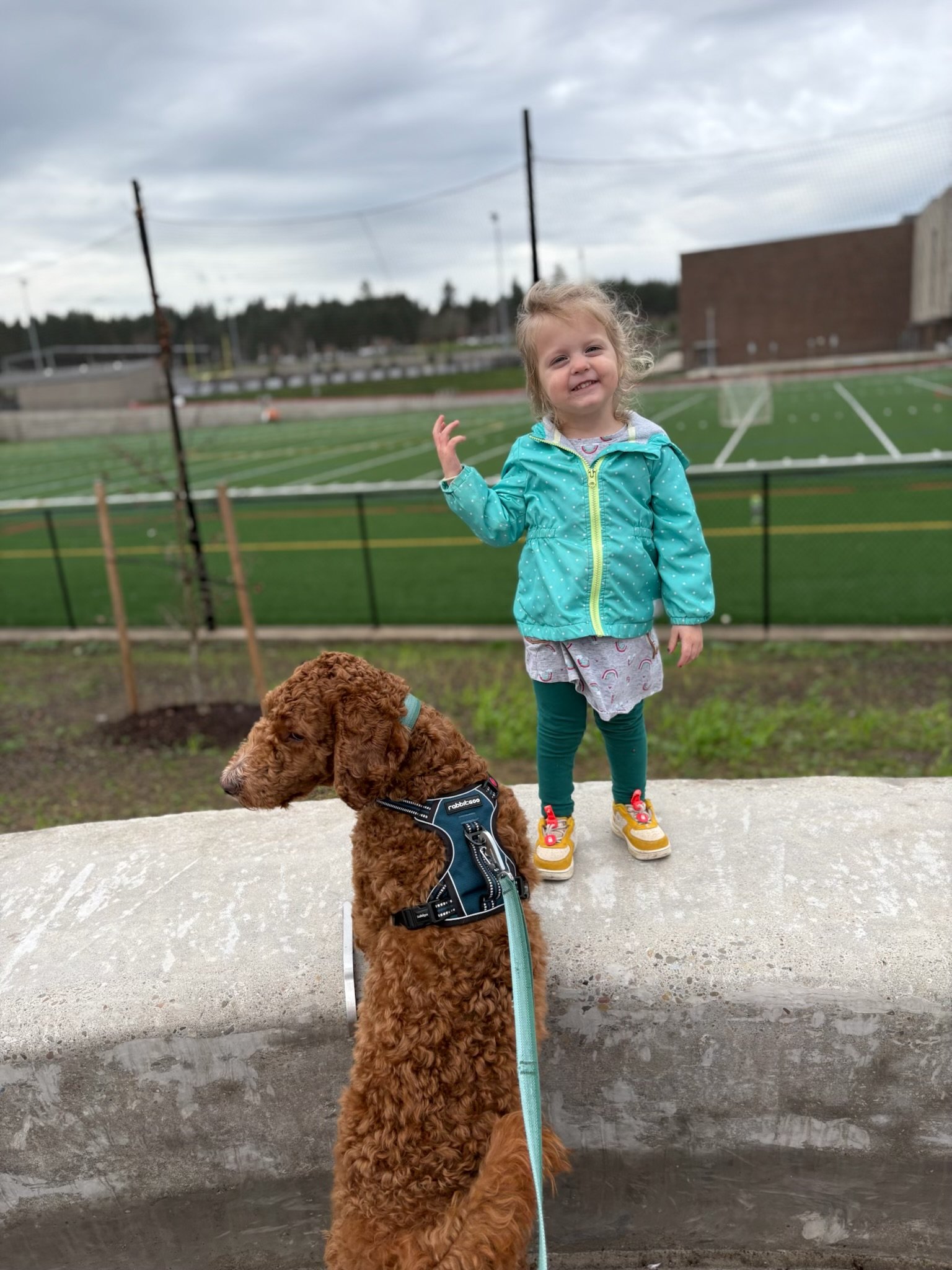 A young girl with curly hair wearing a teal jacket and colorful shoes standing on a concrete structure with her dog, a large curly-haired brown dog wearing a harness, in front of a chain-link fence and a sports field with cloudy sky in background.