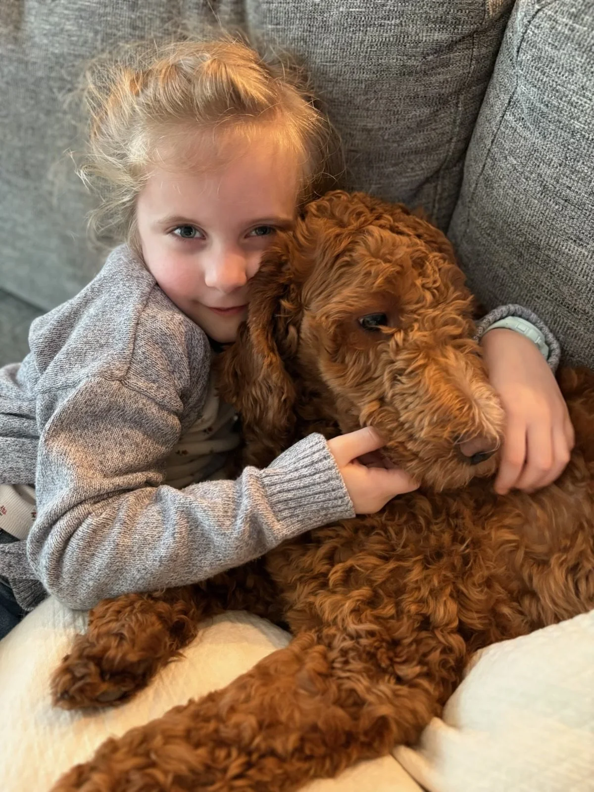 A young girl with blonde hair hugging a brown, curly-haired puppy on a gray couch.