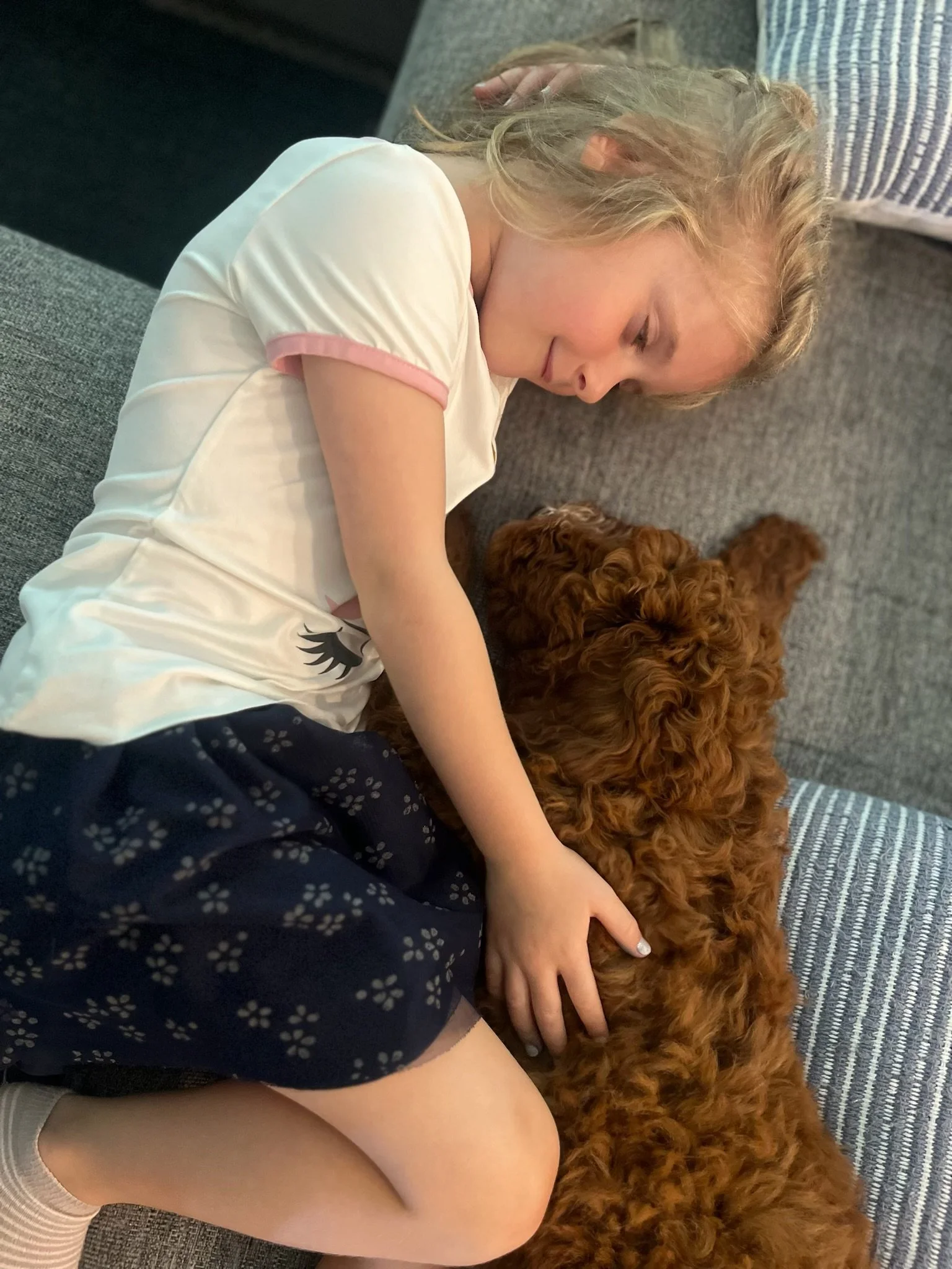 A young girl with blonde hair sleeping on a gray couch with a brown curly-haired dog.