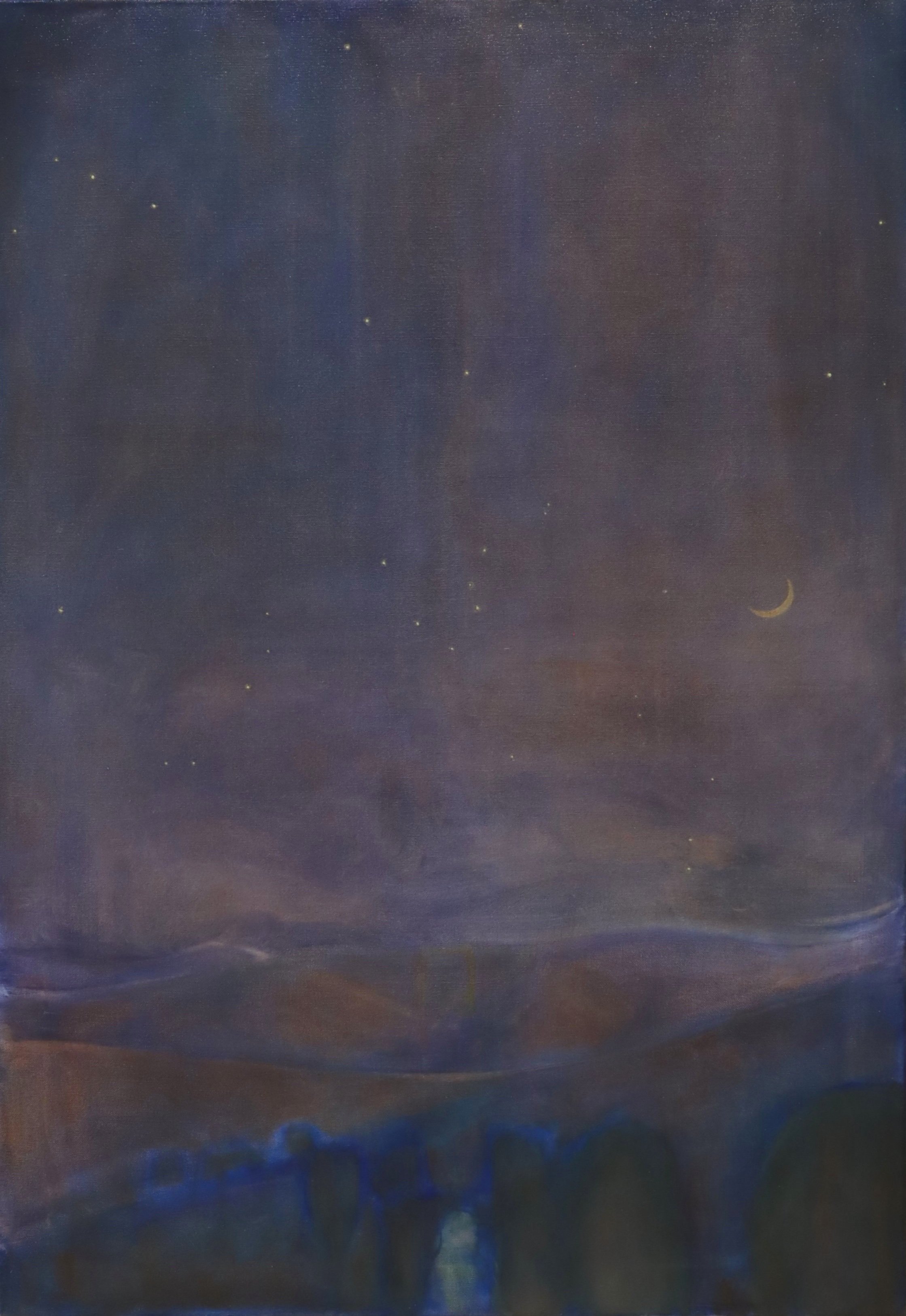 Starry Night (Orchard Rig, April 1st) 2025
Oil on canvas
70 x 100 cm