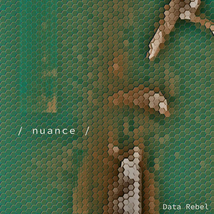 Data Rebel