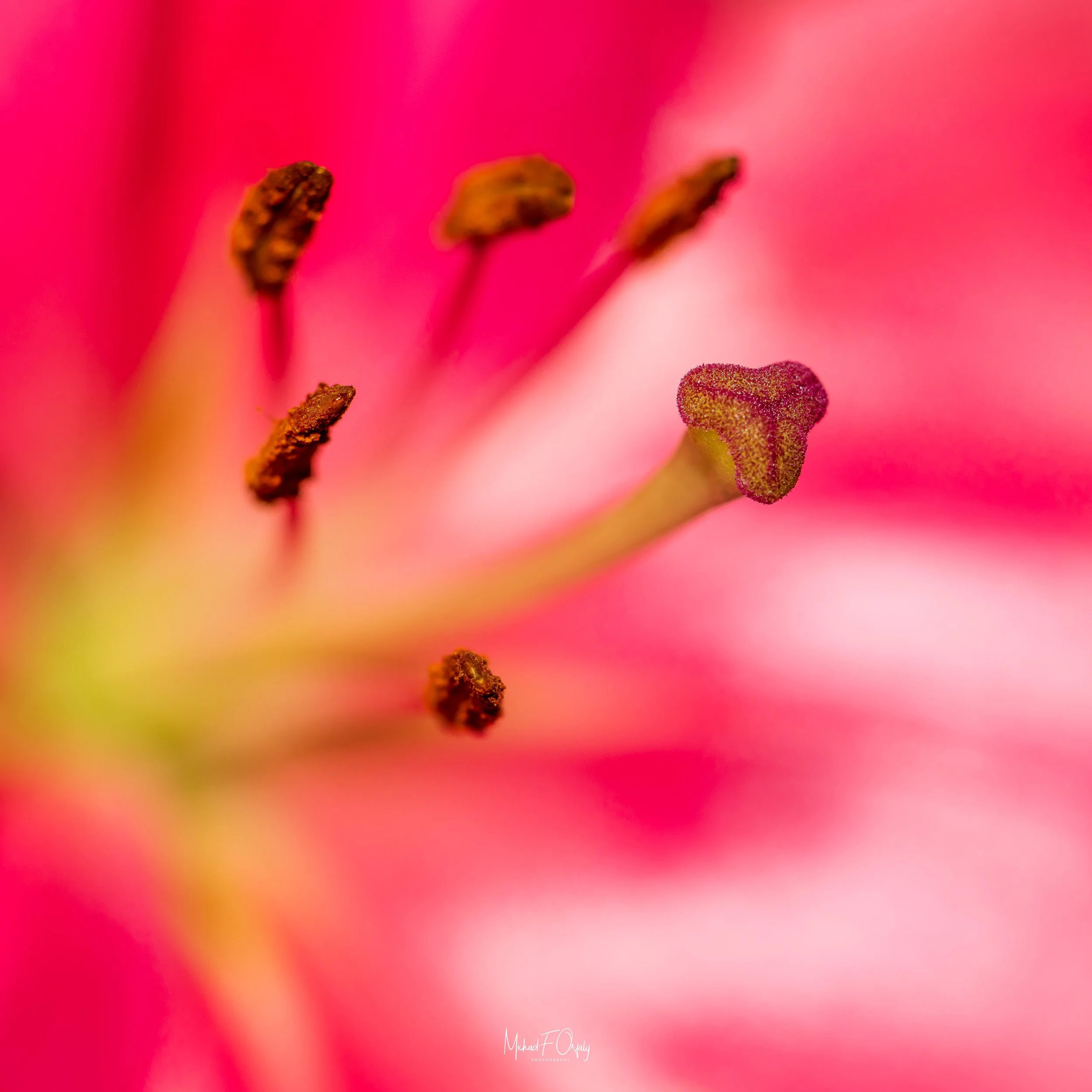230127_R5_2699.jpg