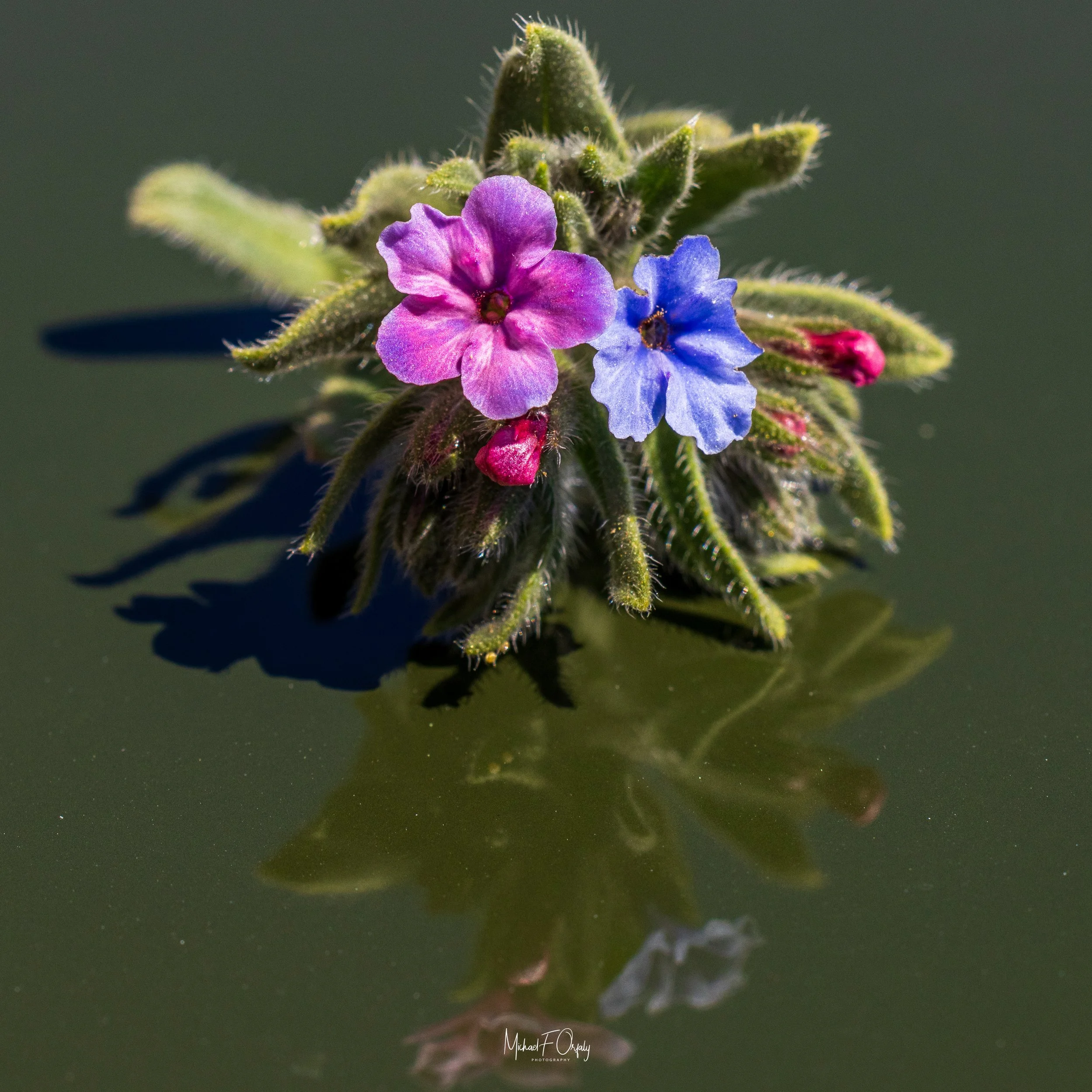 230310_R7_5508.jpg